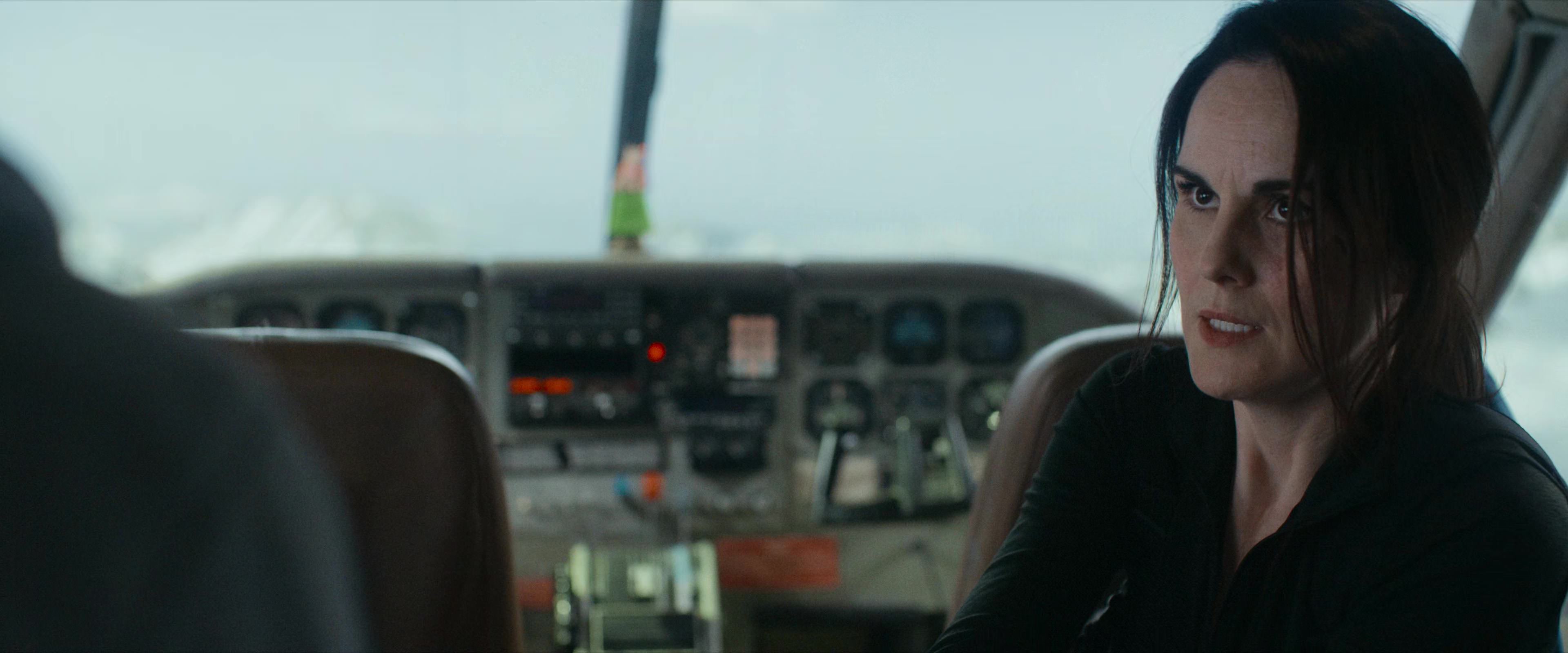 Flight Risk (2025) [4K] screencap 3585