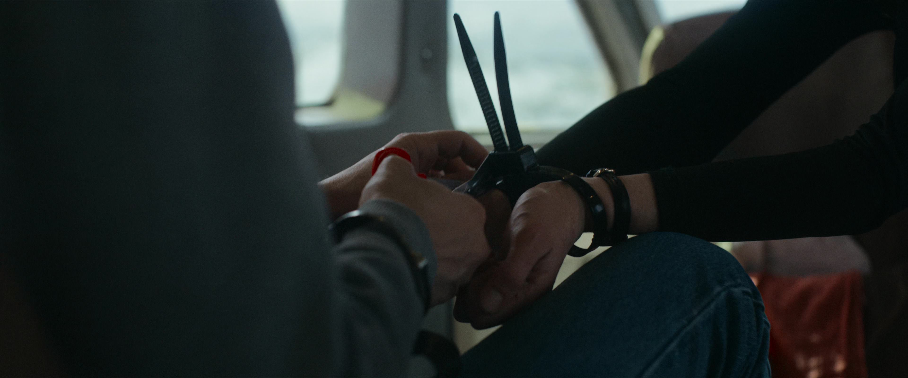 Flight Risk (2025) [4K] screencap 3606