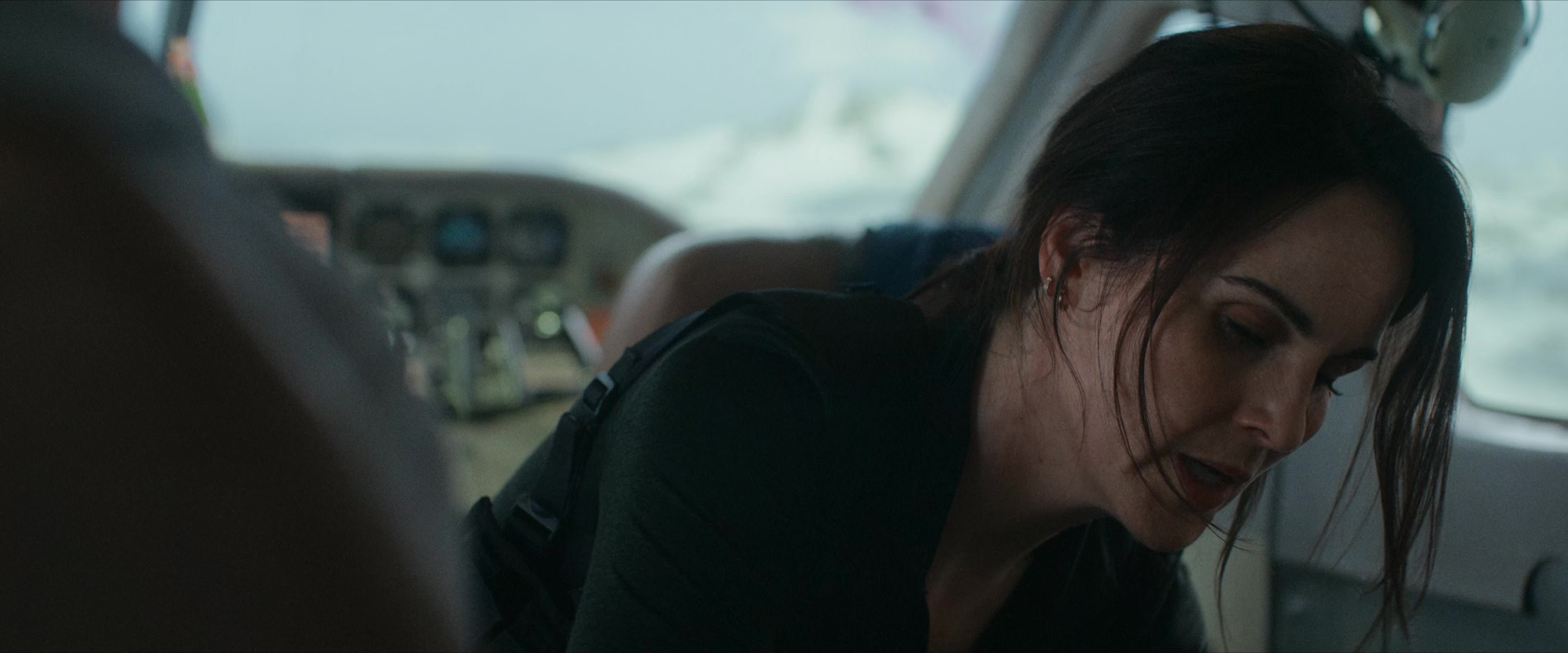 Flight Risk (2025) [4K] movie still 3652