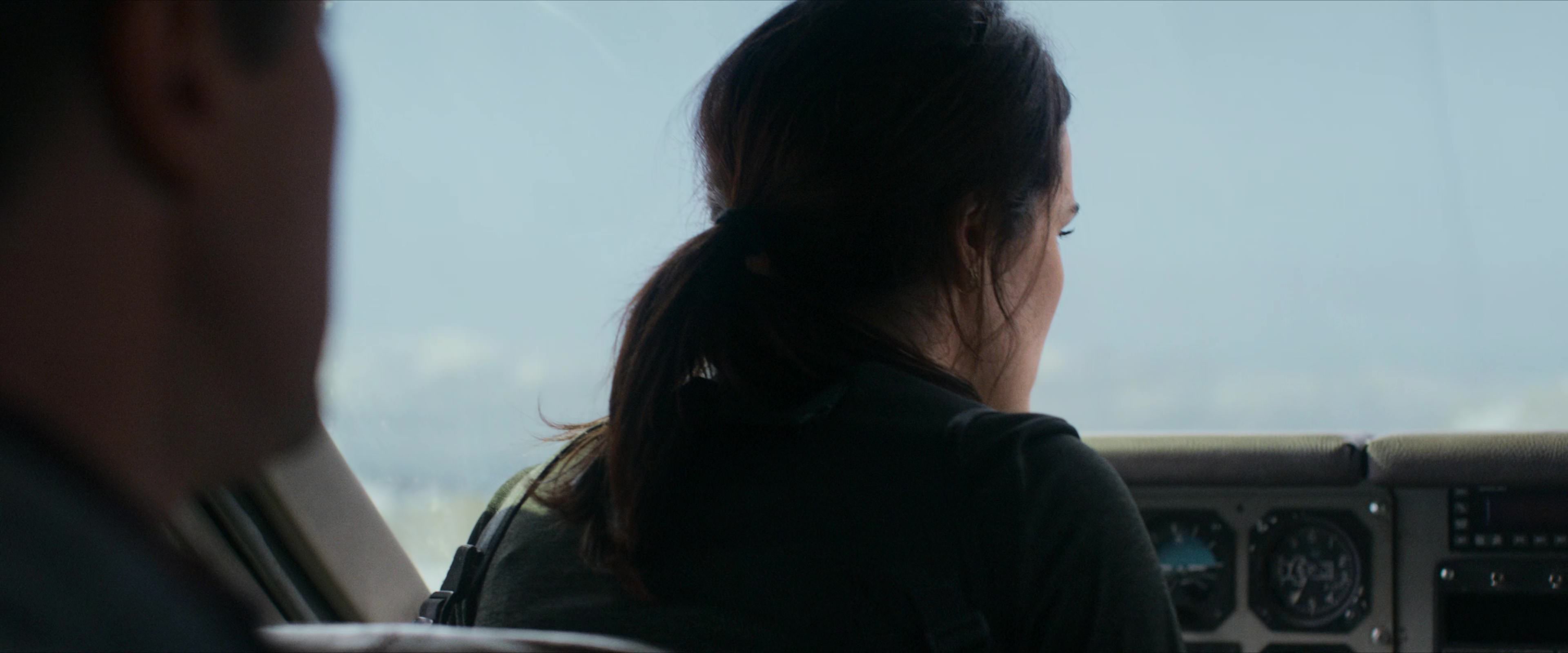 Flight Risk (2025) [4K] screencap 4029