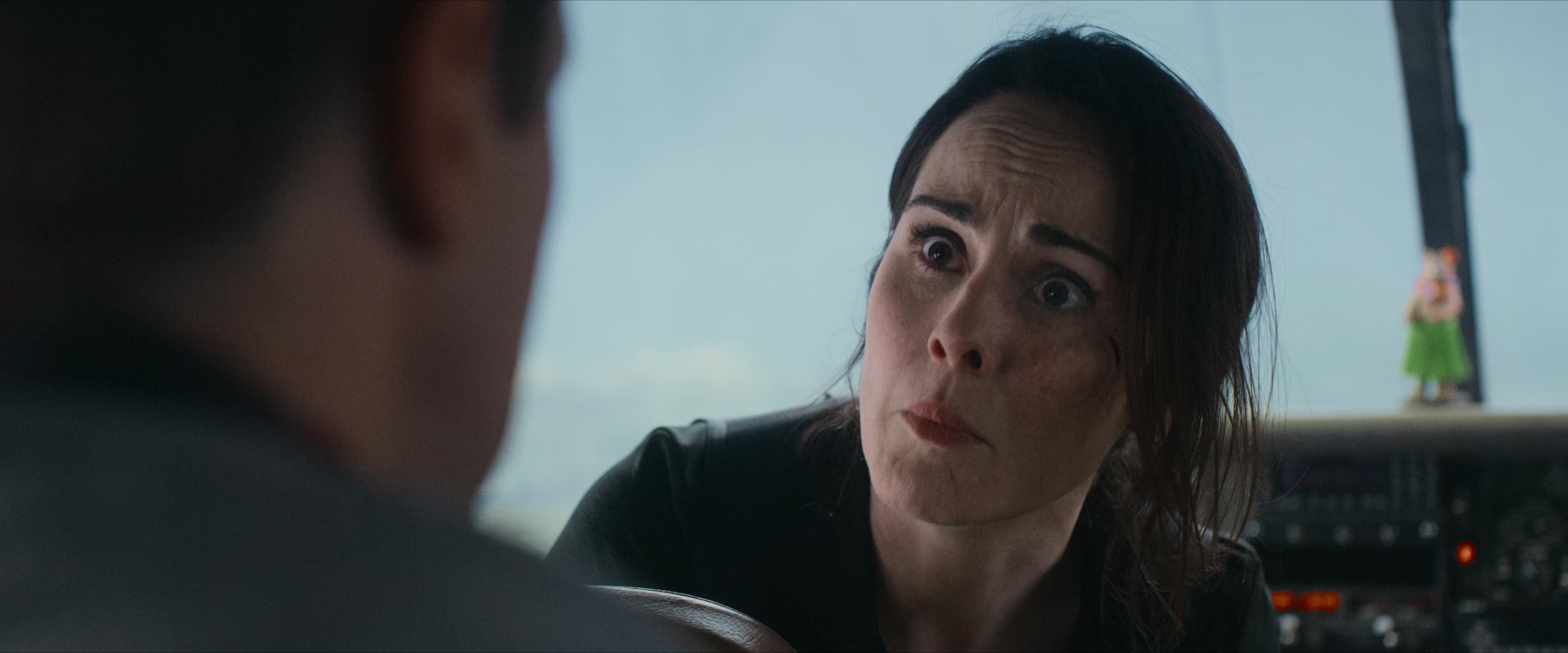 Flight Risk (2025) [4K] screencap 4119