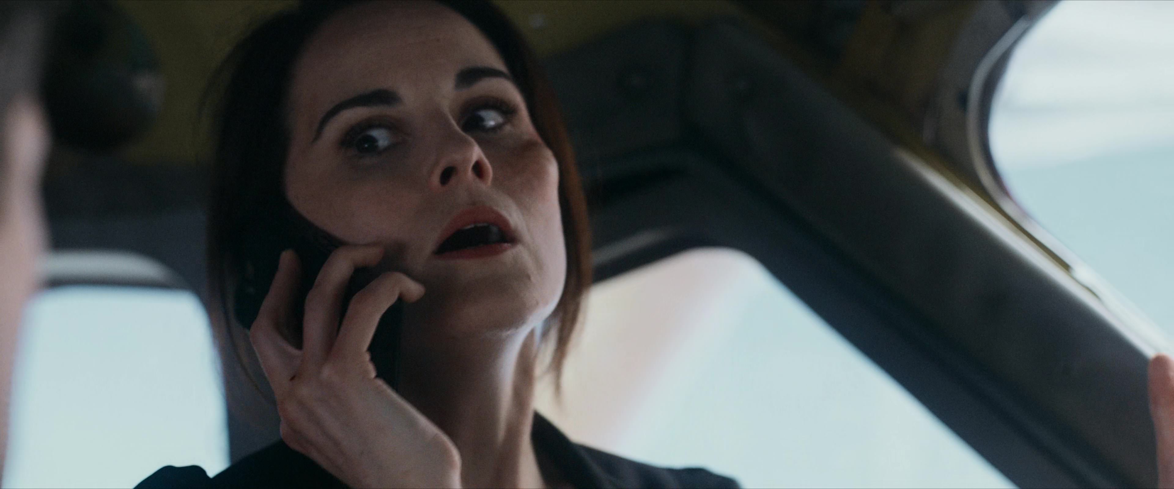 Flight Risk (2025) [4K] screencap 4677
