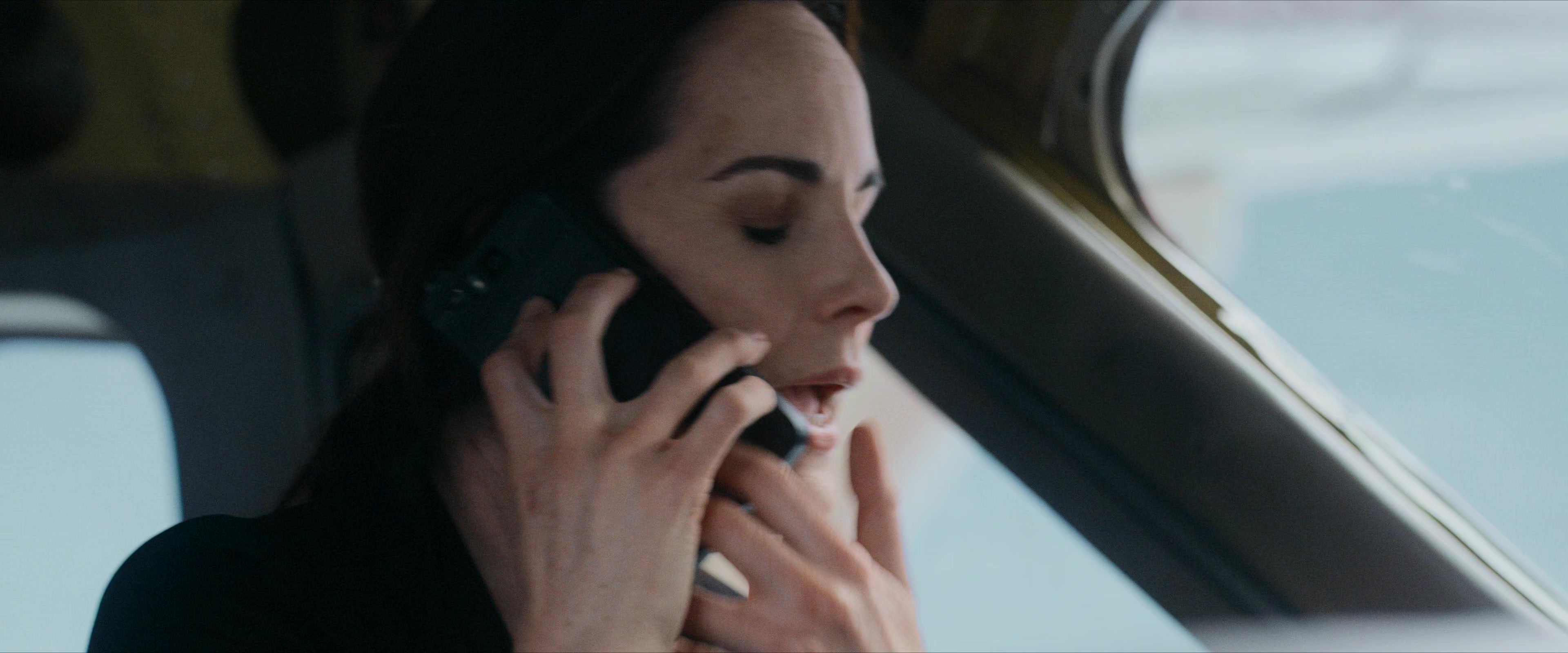 Flight Risk (2025) [4K] screencap 4701