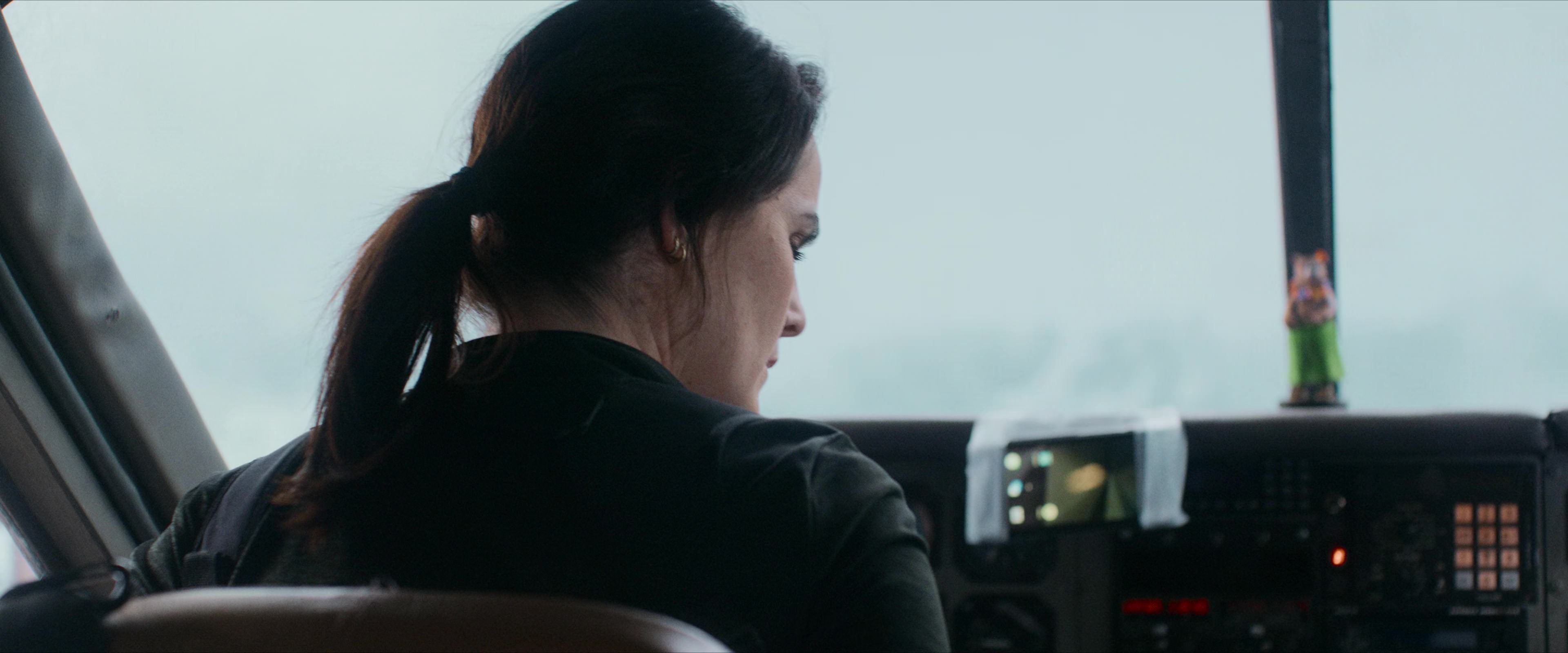 Flight Risk (2025) [4K] screencap 5850