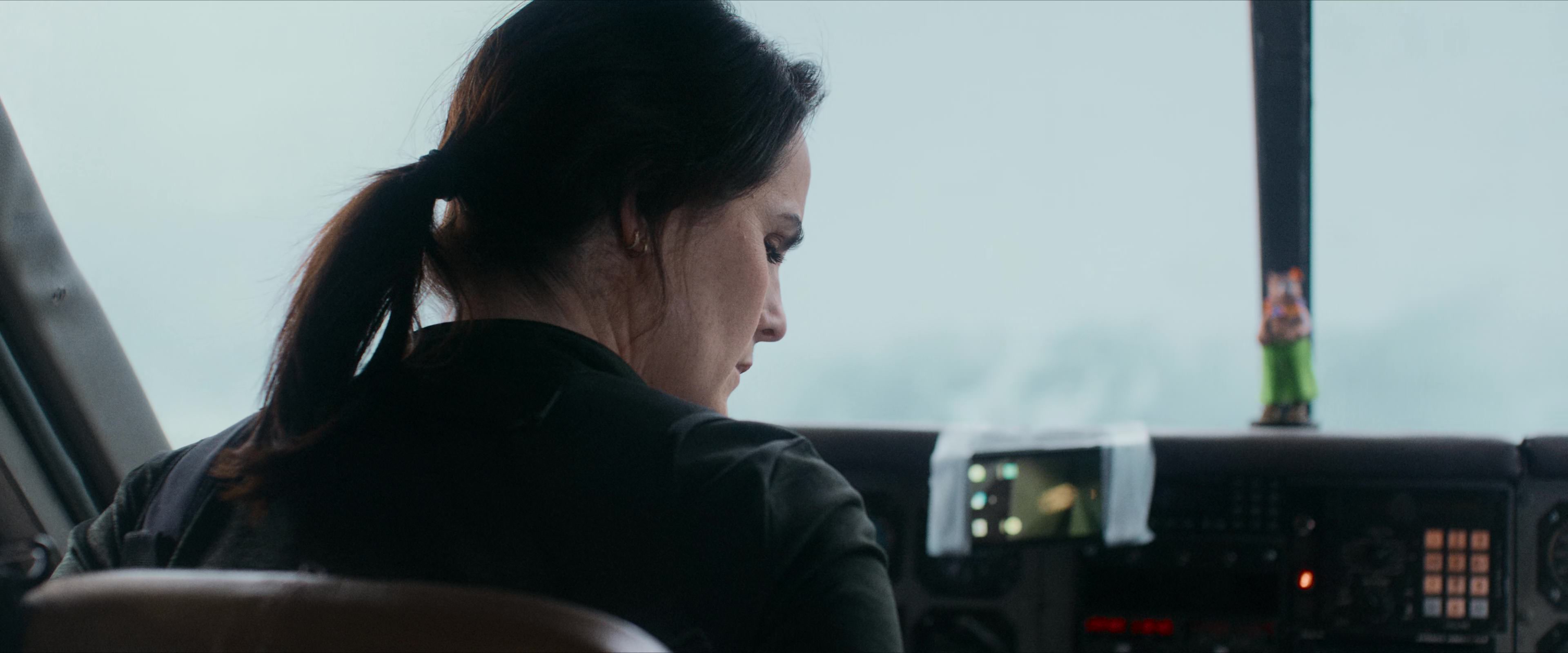 Flight Risk (2025) [4K] screencap 5853