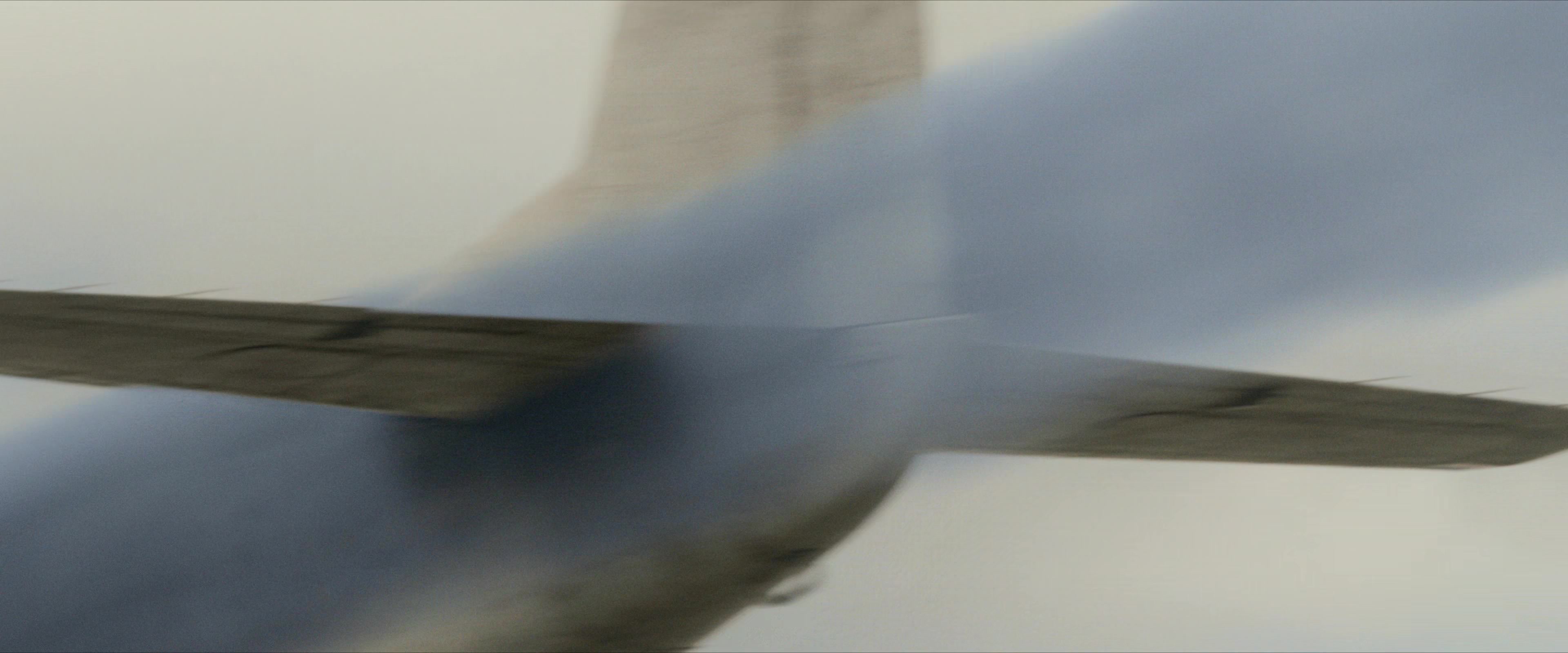 Flight Risk (2025) [4K] movie still 8566