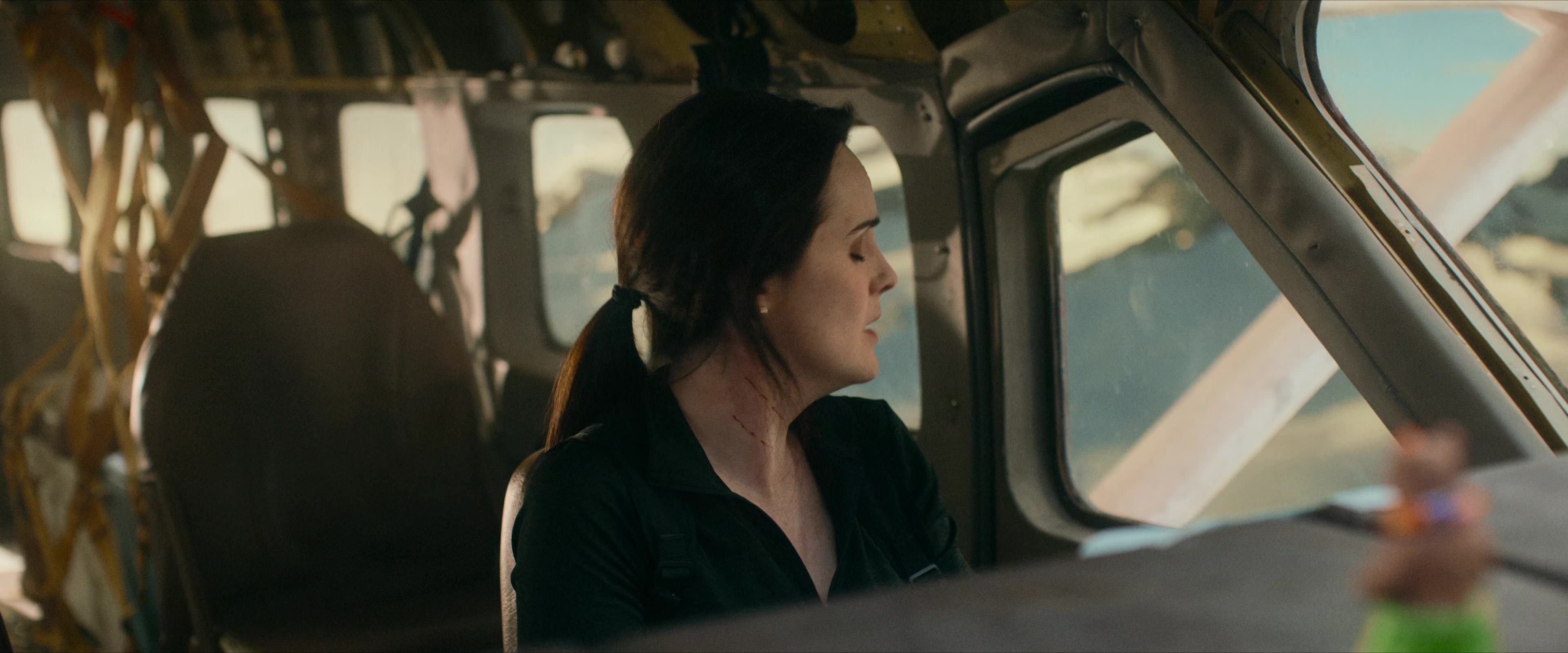 Flight Risk (2025) [4K] movie still 8887