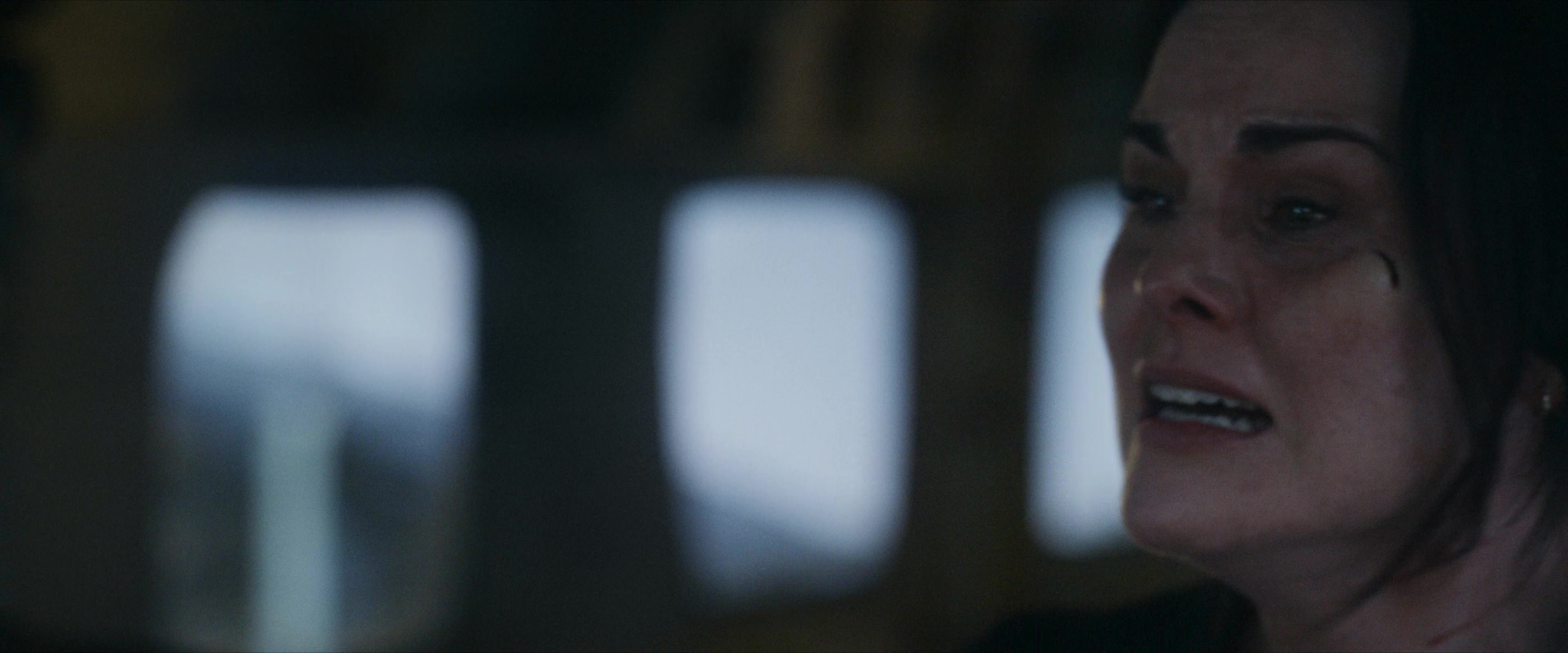 Flight Risk (2025) [4K] movie still 9727