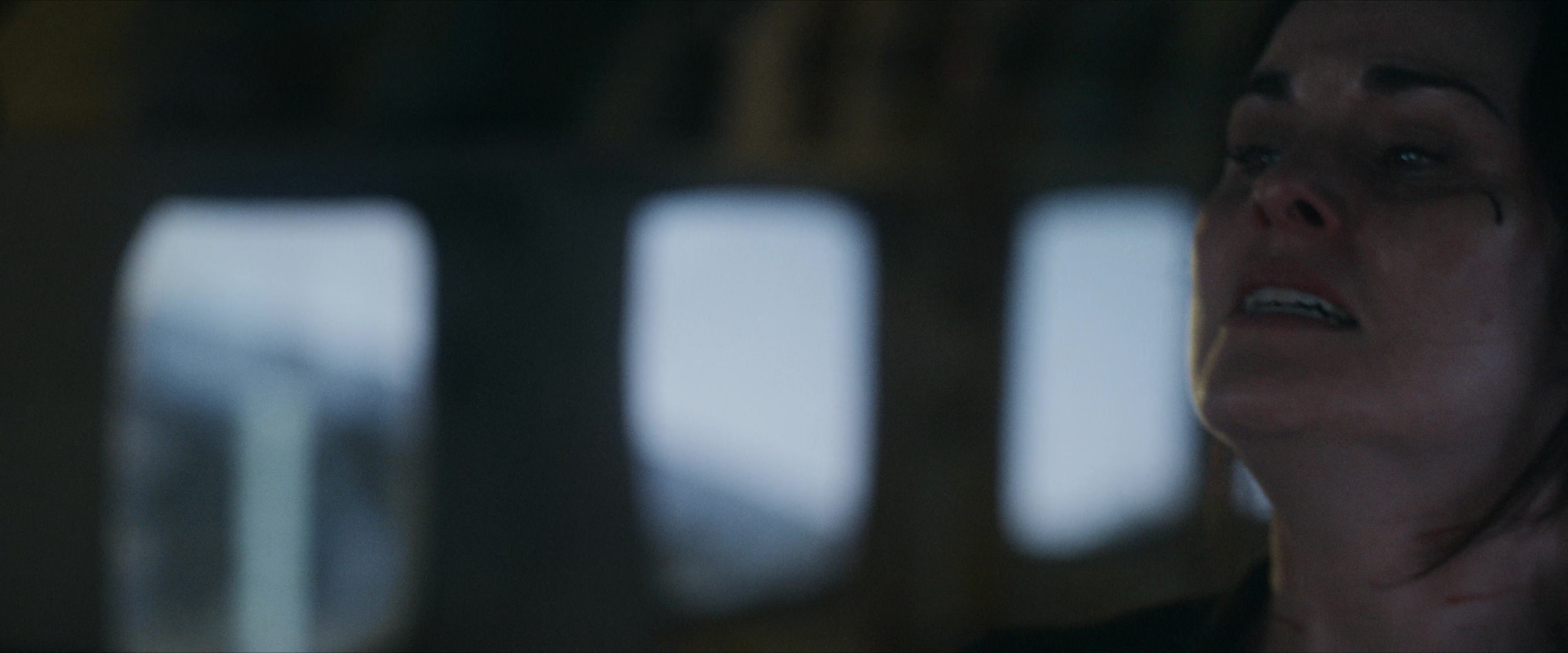 Flight Risk (2025) [4K] HD screenshot 9728