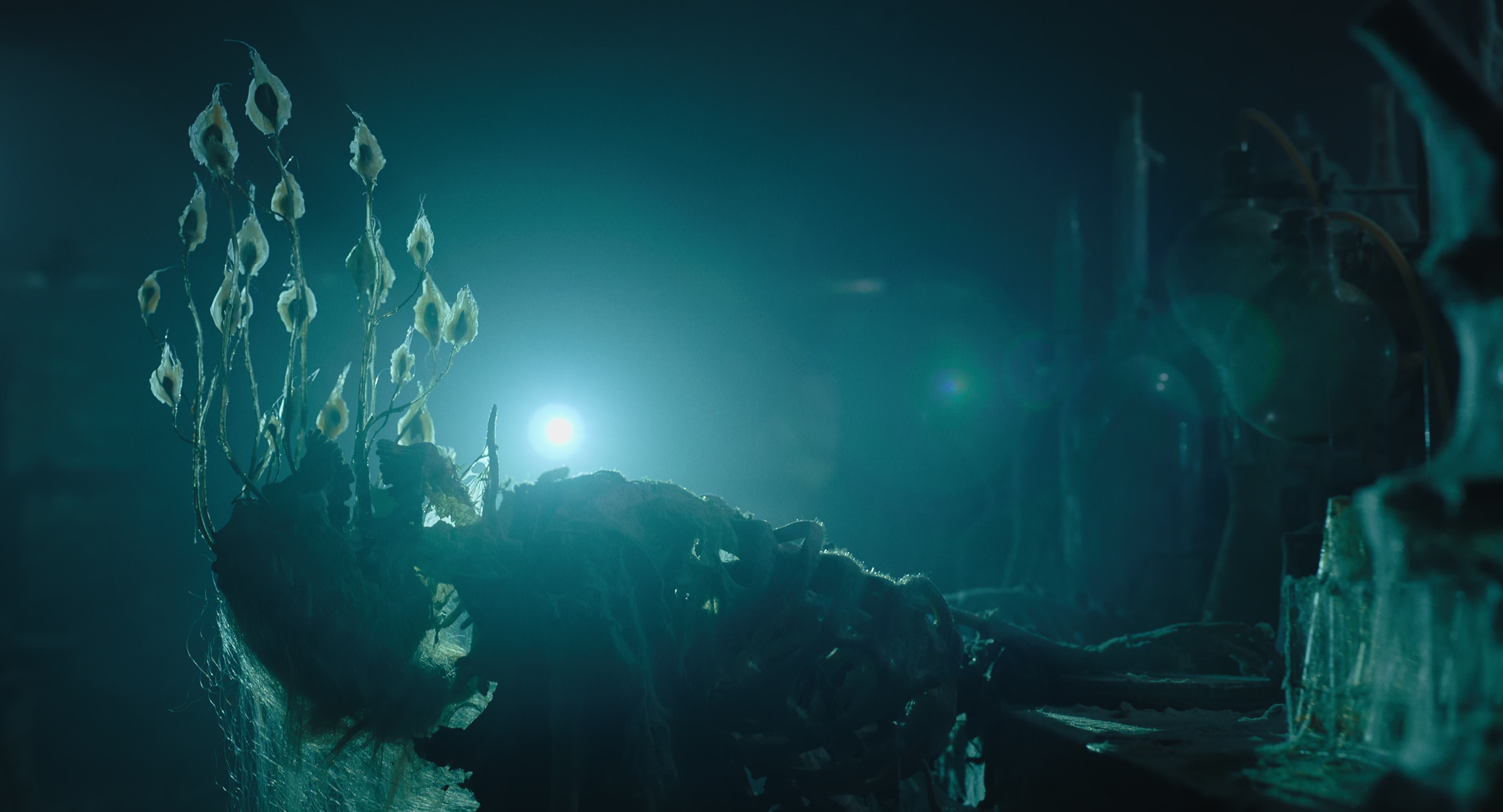 The Gorge (2025) [4K] screencap 10416