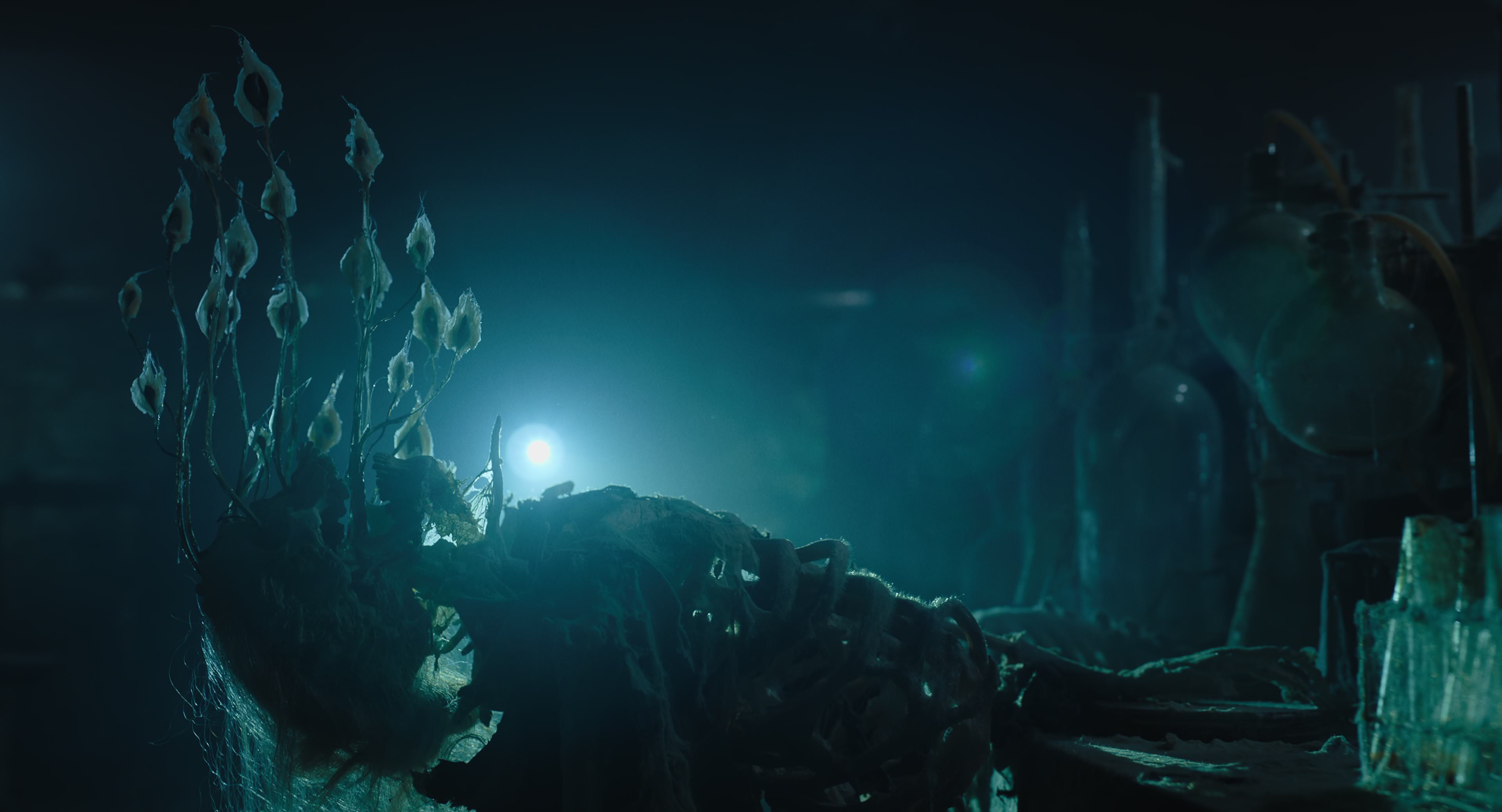 The Gorge (2025) [4K] HD screenshot 10418