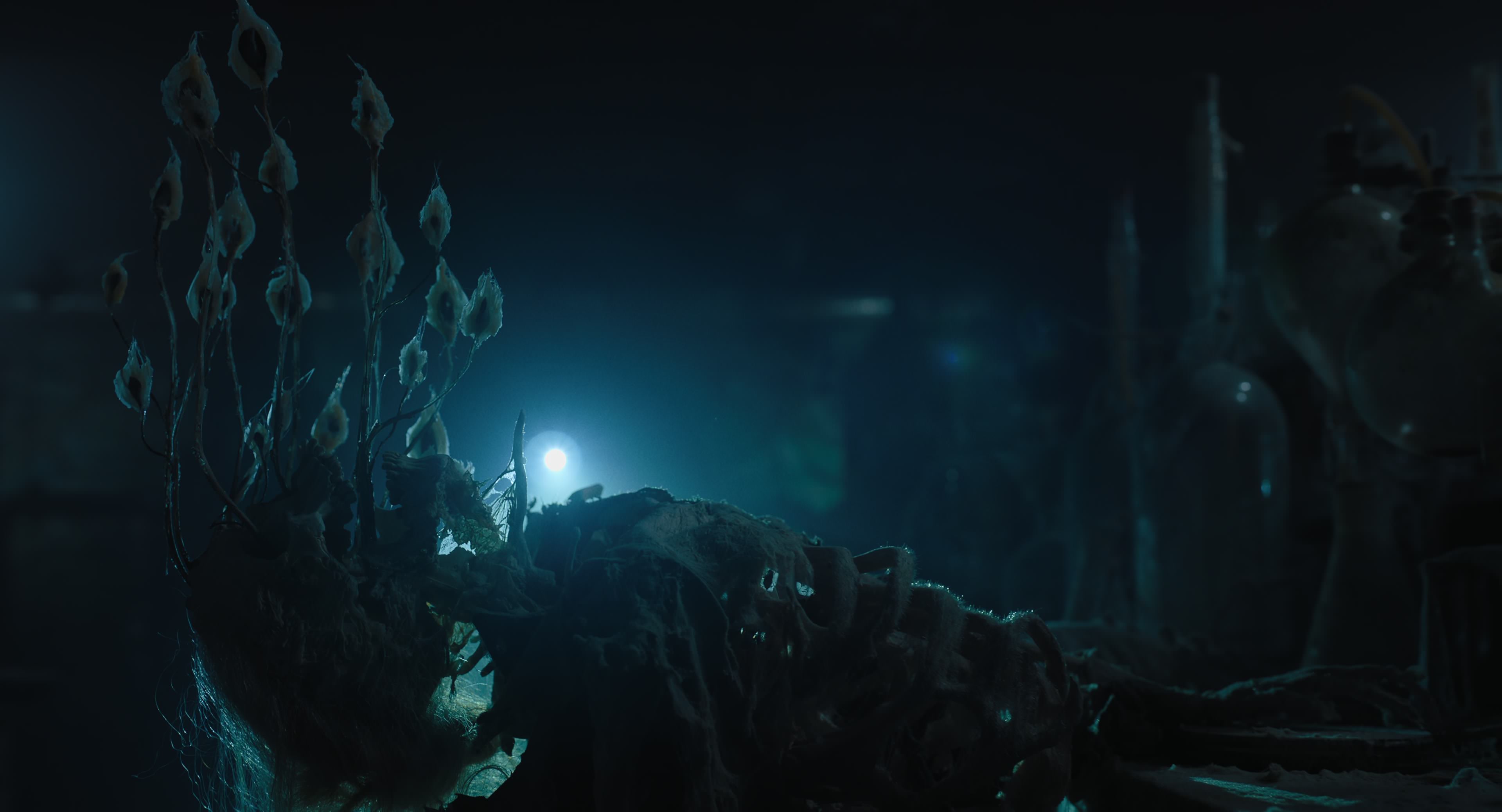 The Gorge (2025) [4K] HD screenshot 10421