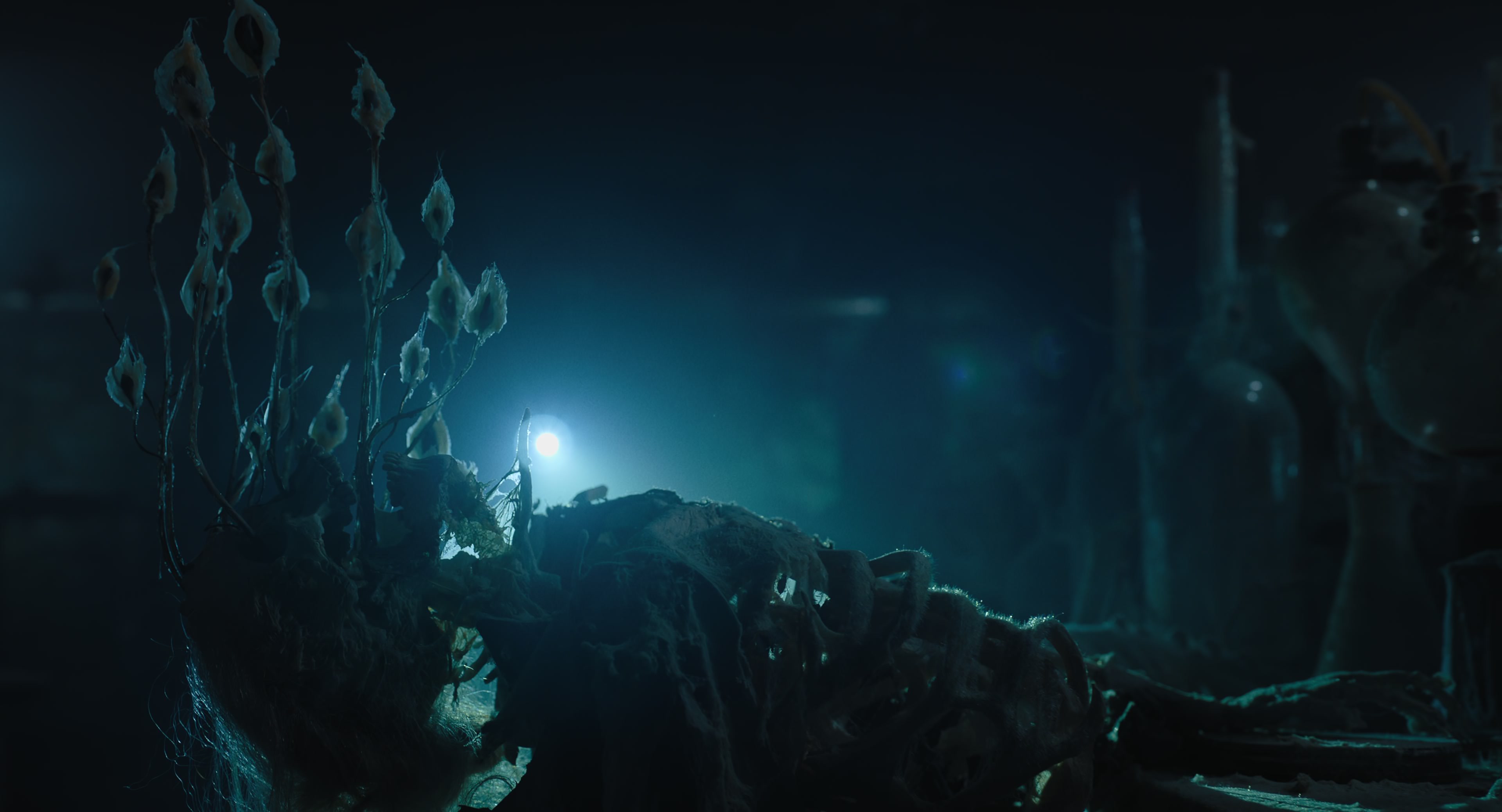 The Gorge (2025) [4K] screencap 10422