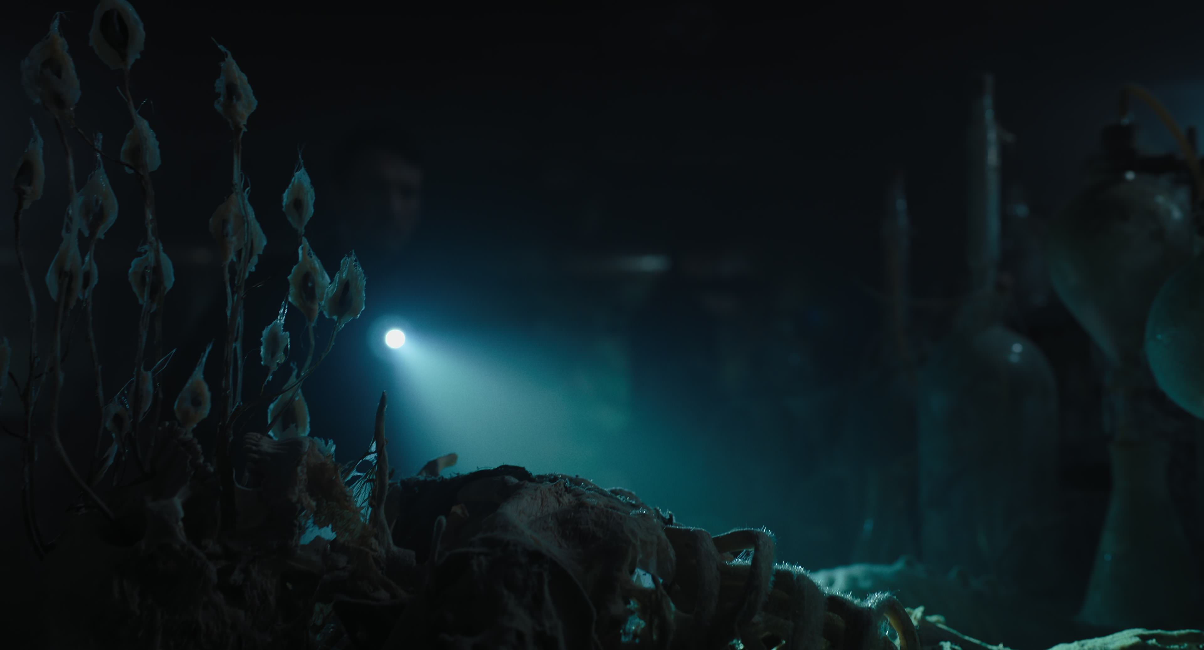 The Gorge (2025) [4K] movie still 10426