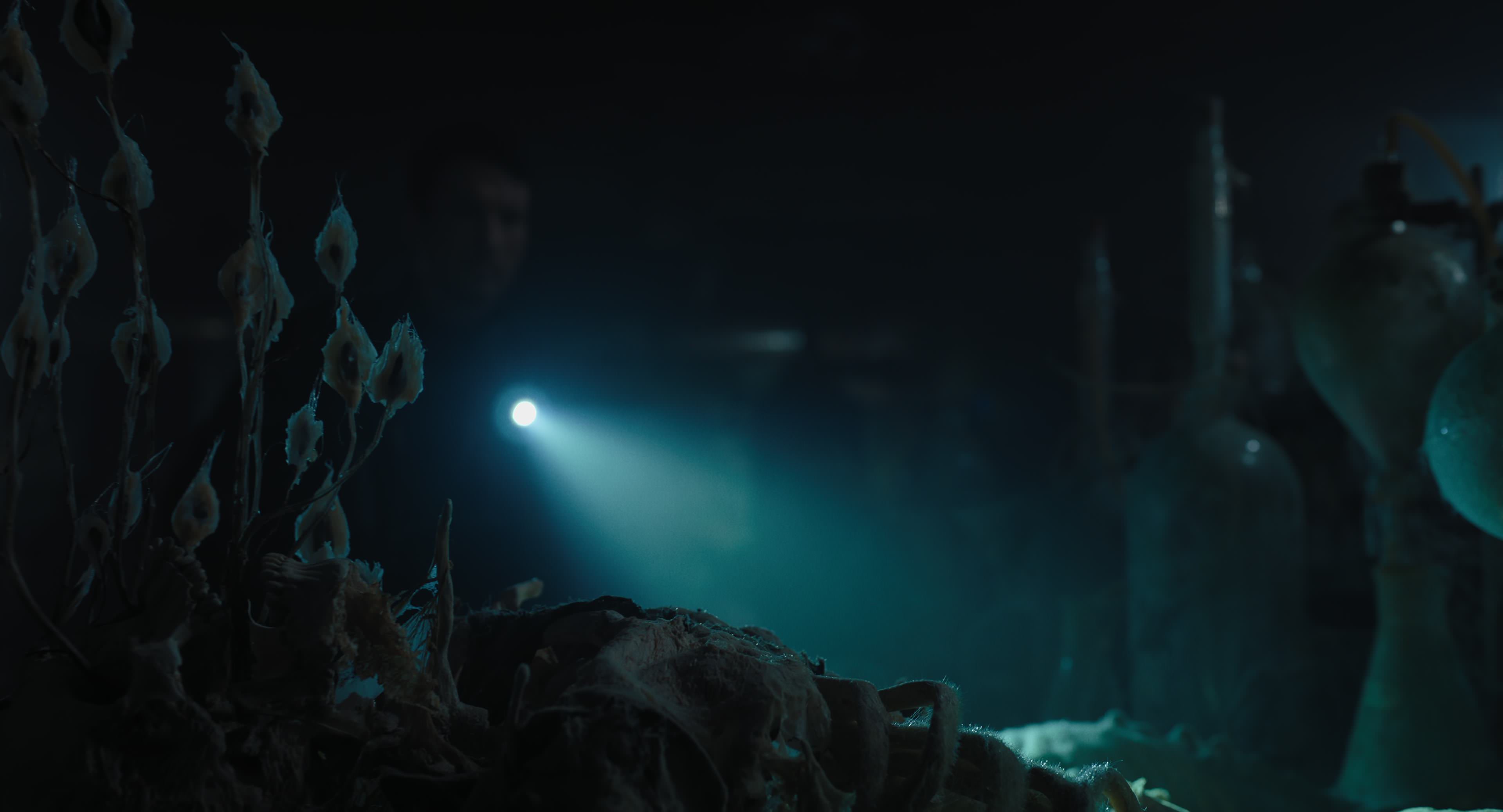 The Gorge (2025) [4K] HD screenshot 10427