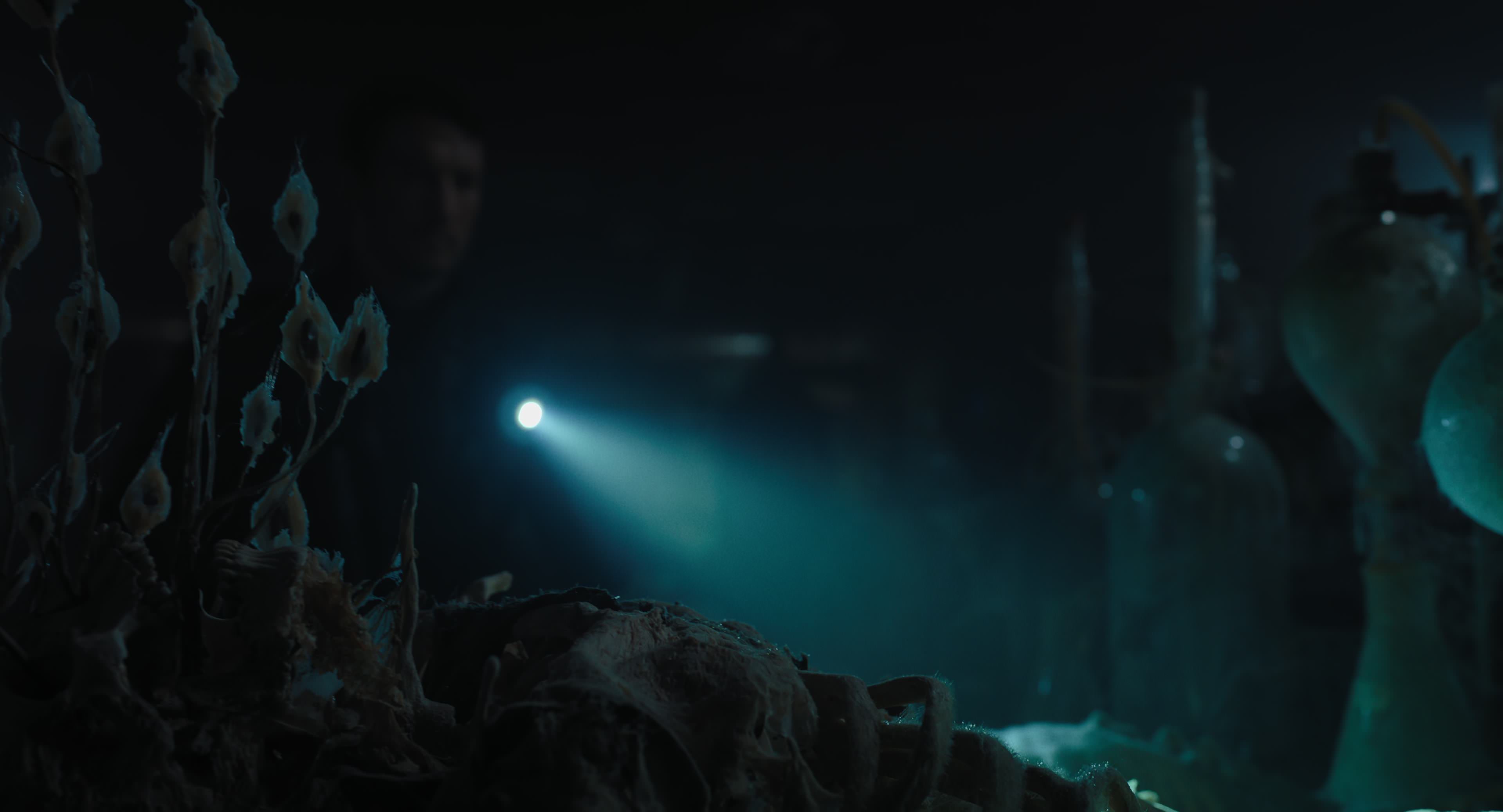 The Gorge (2025) [4K] screencap 10428