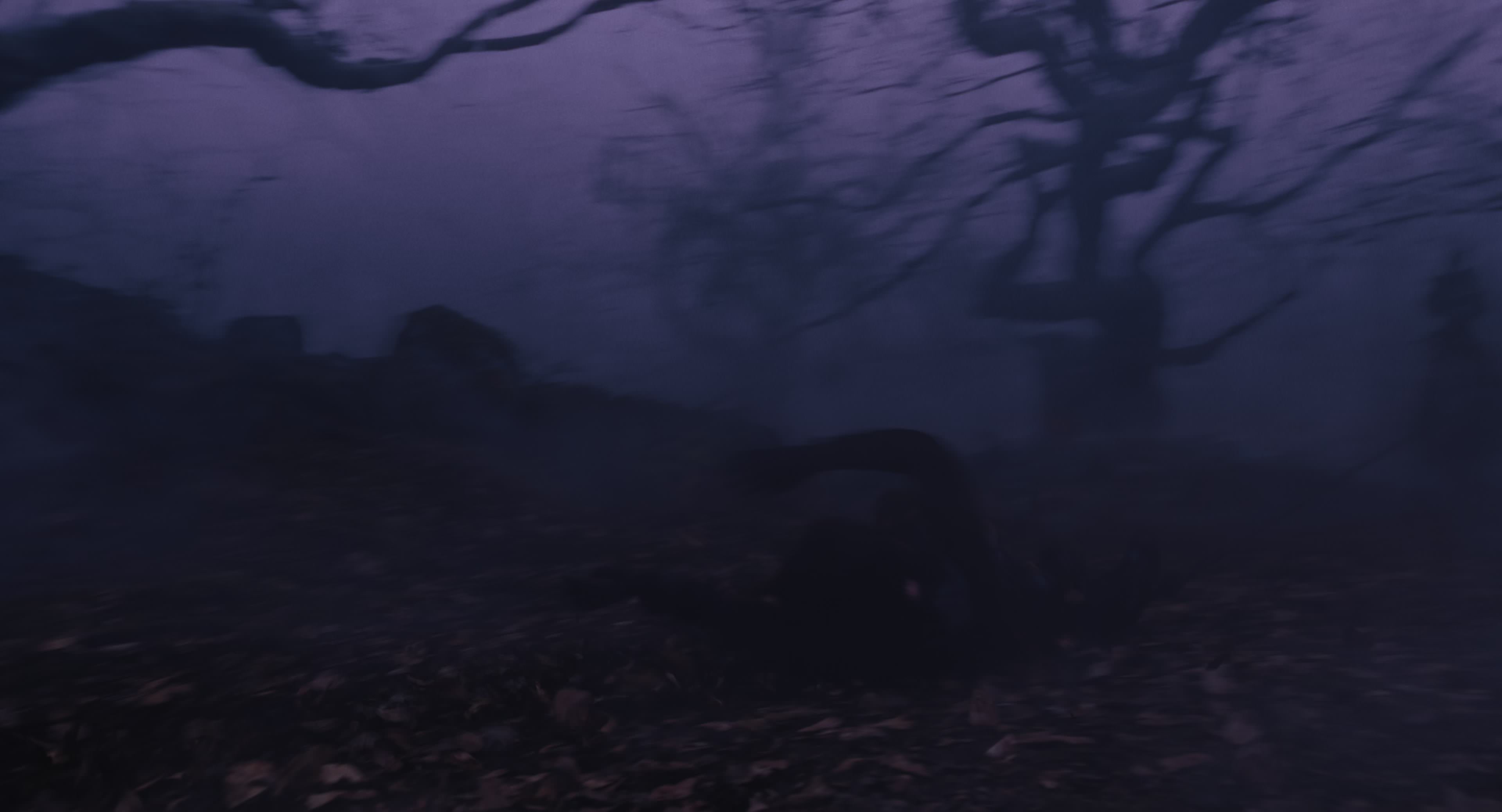 The Gorge (2025) [4K] screencap 11394