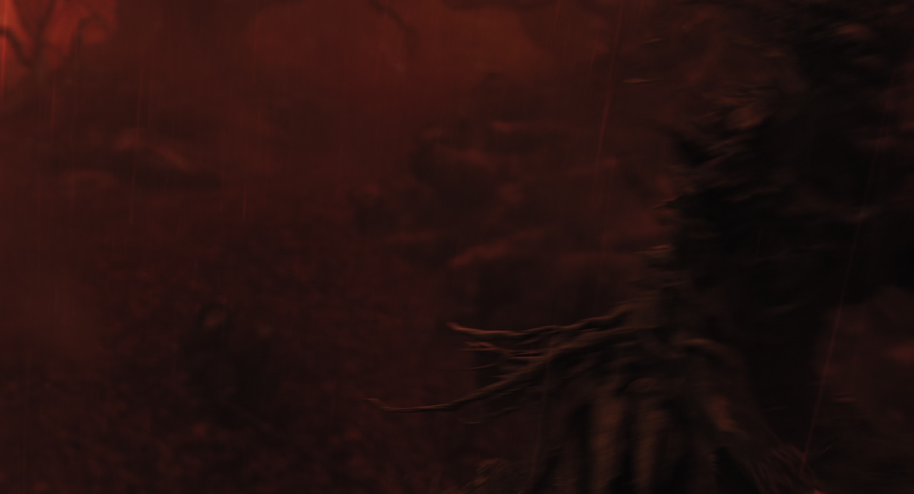 The Gorge (2025) [4K] HD screenshot 11438