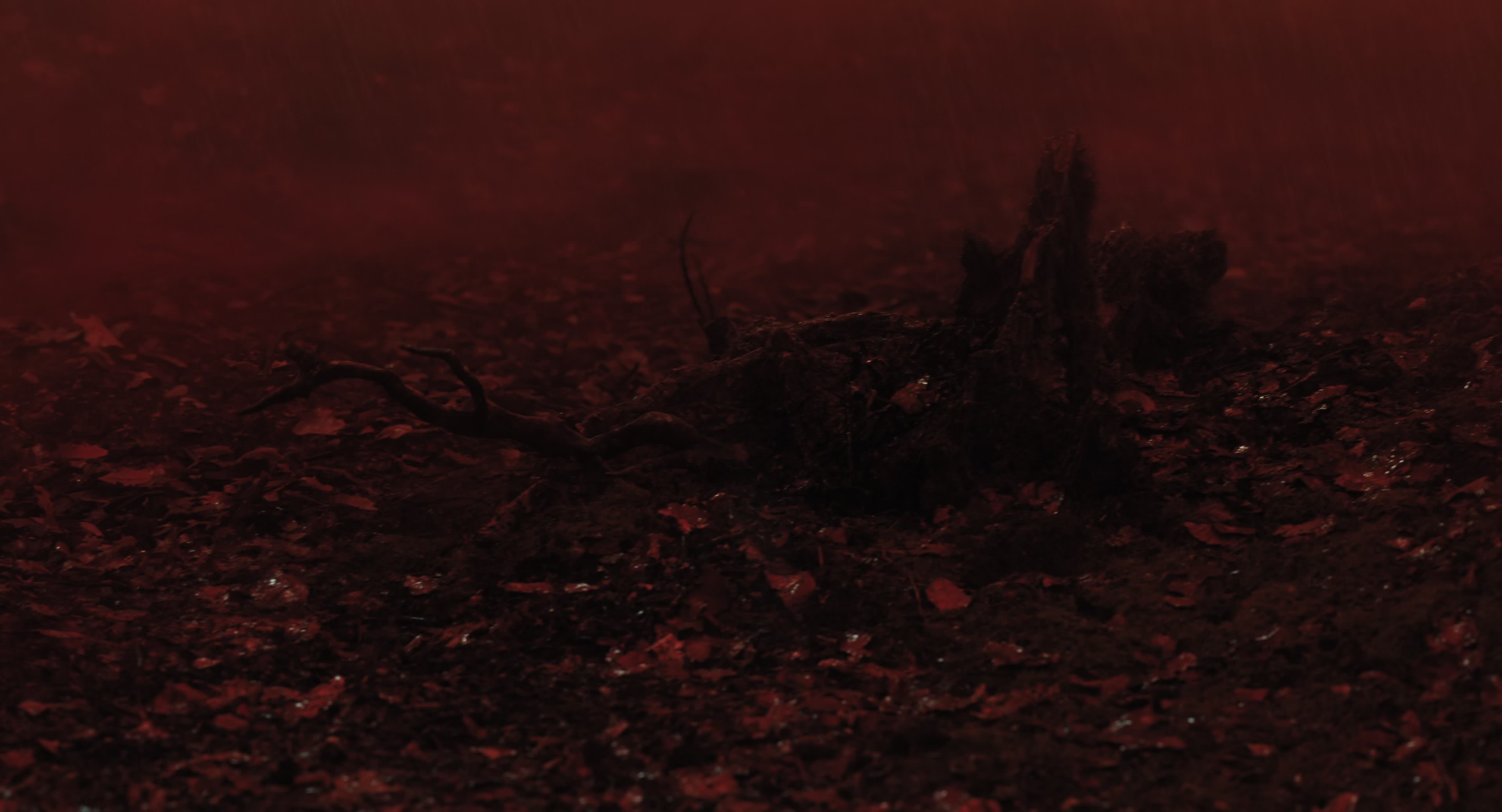 The Gorge (2025) [4K] screencap 11451