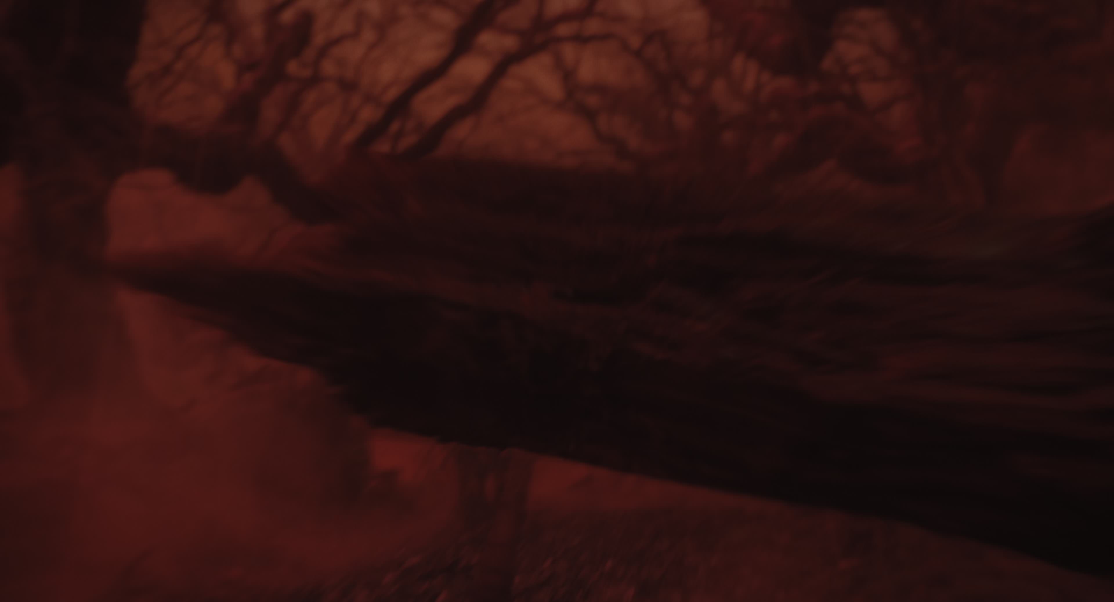 The Gorge (2025) [4K] movie still 11467