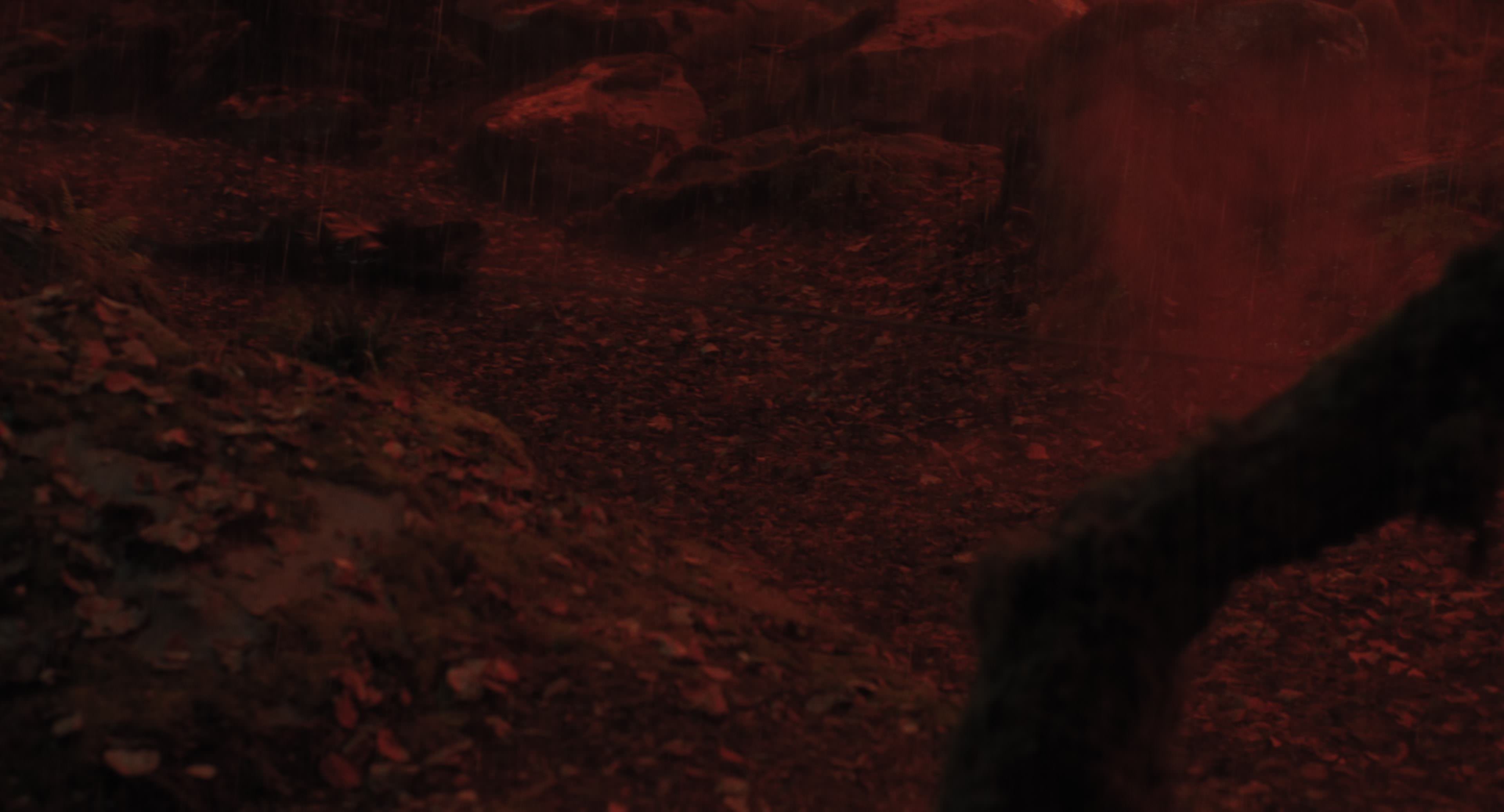 The Gorge (2025) [4K] screencap 11469