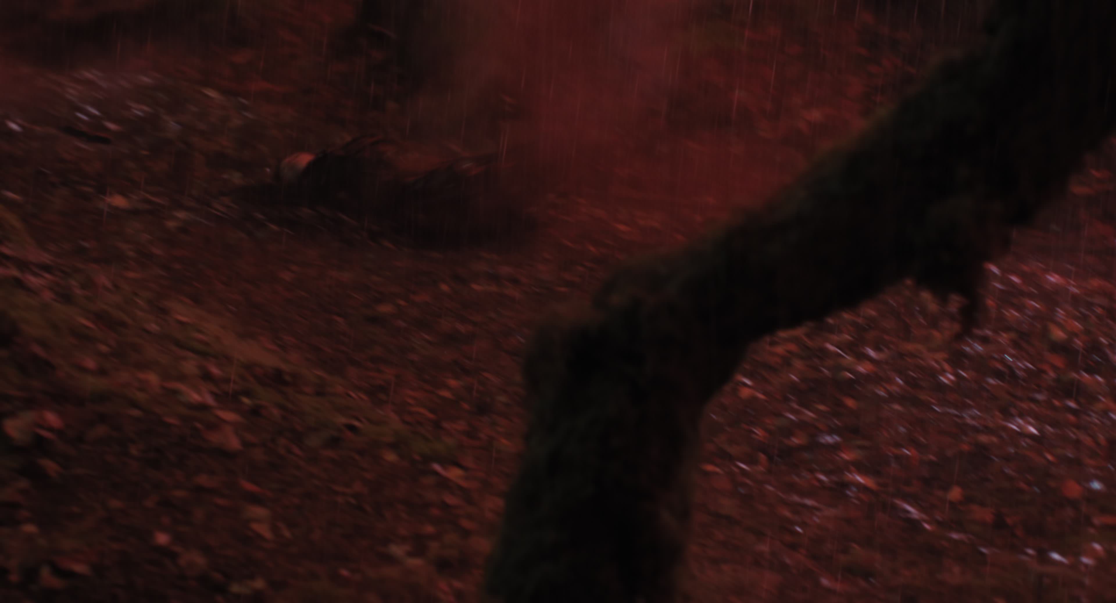 The Gorge (2025) [4K] HD screenshot 11471