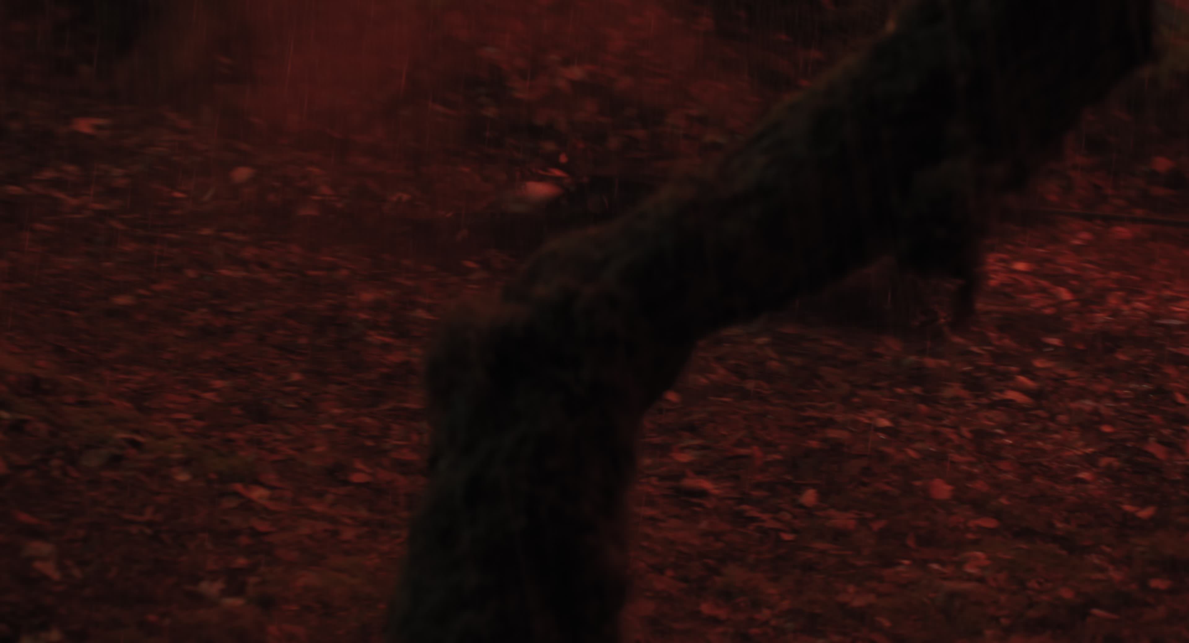 The Gorge (2025) [4K] screencap 11472