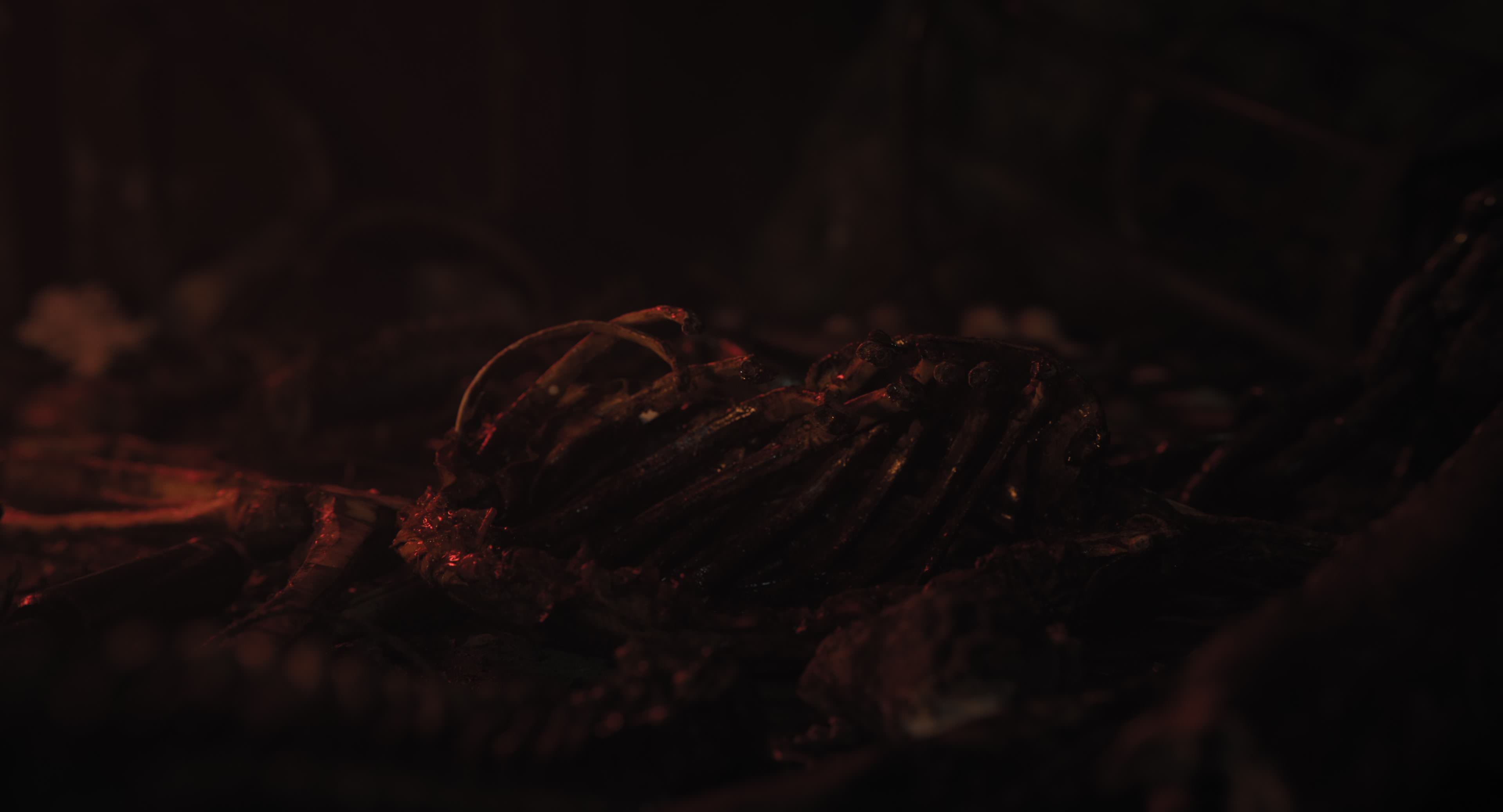 The Gorge (2025) [4K] HD screenshot 11603