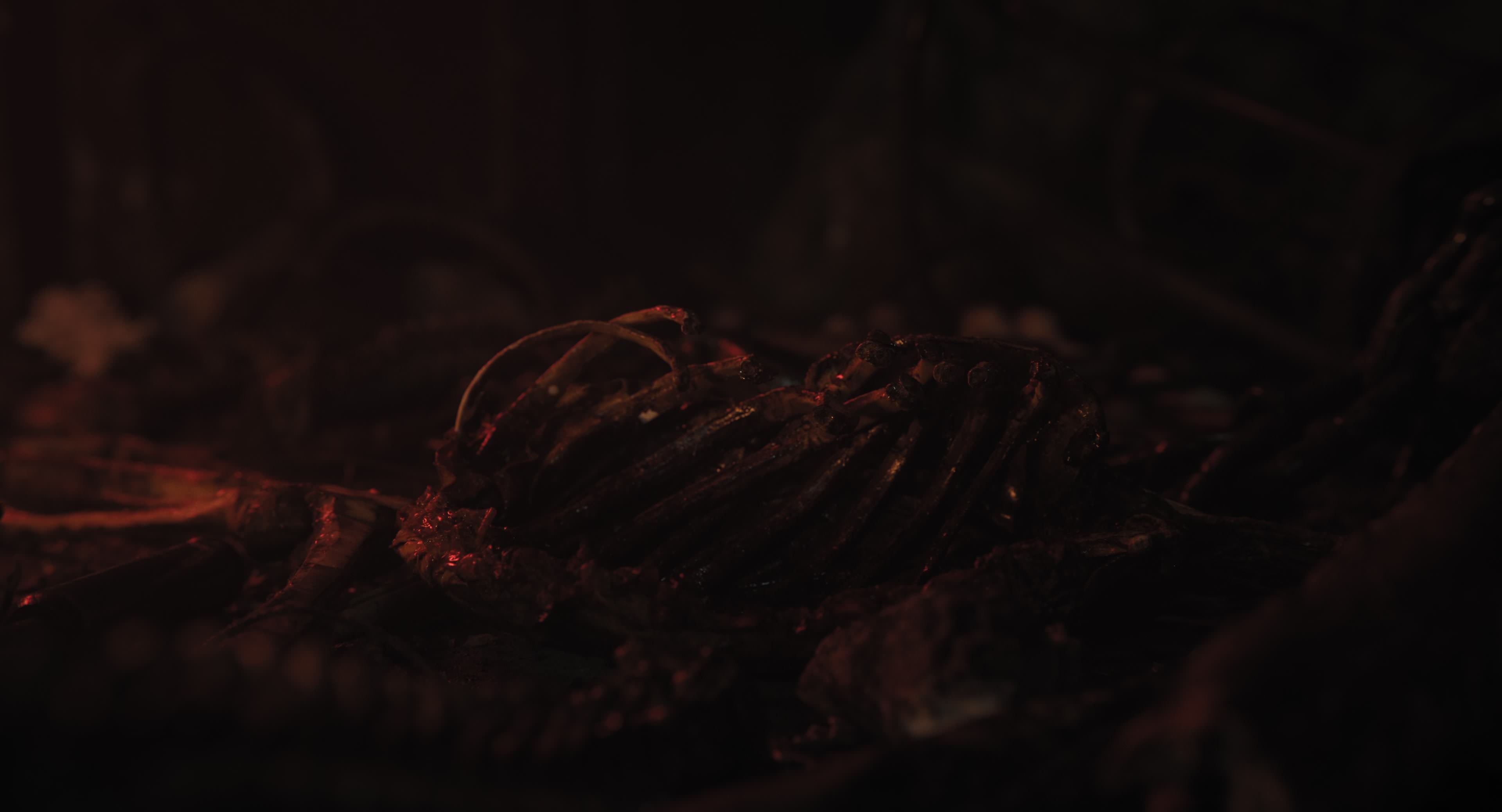 The Gorge (2025) [4K] screencap 11604
