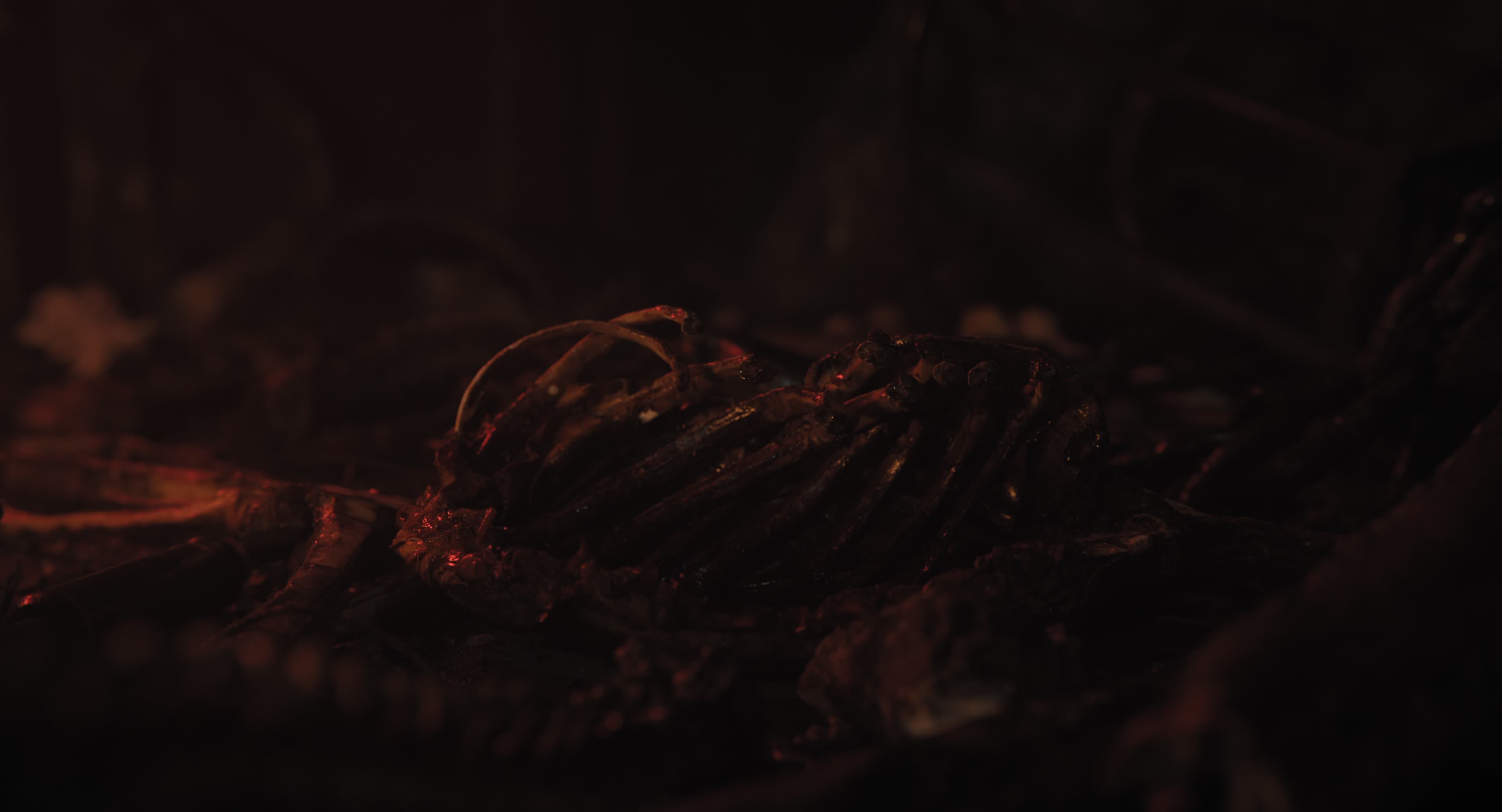 The Gorge (2025) [4K] movie still 11605