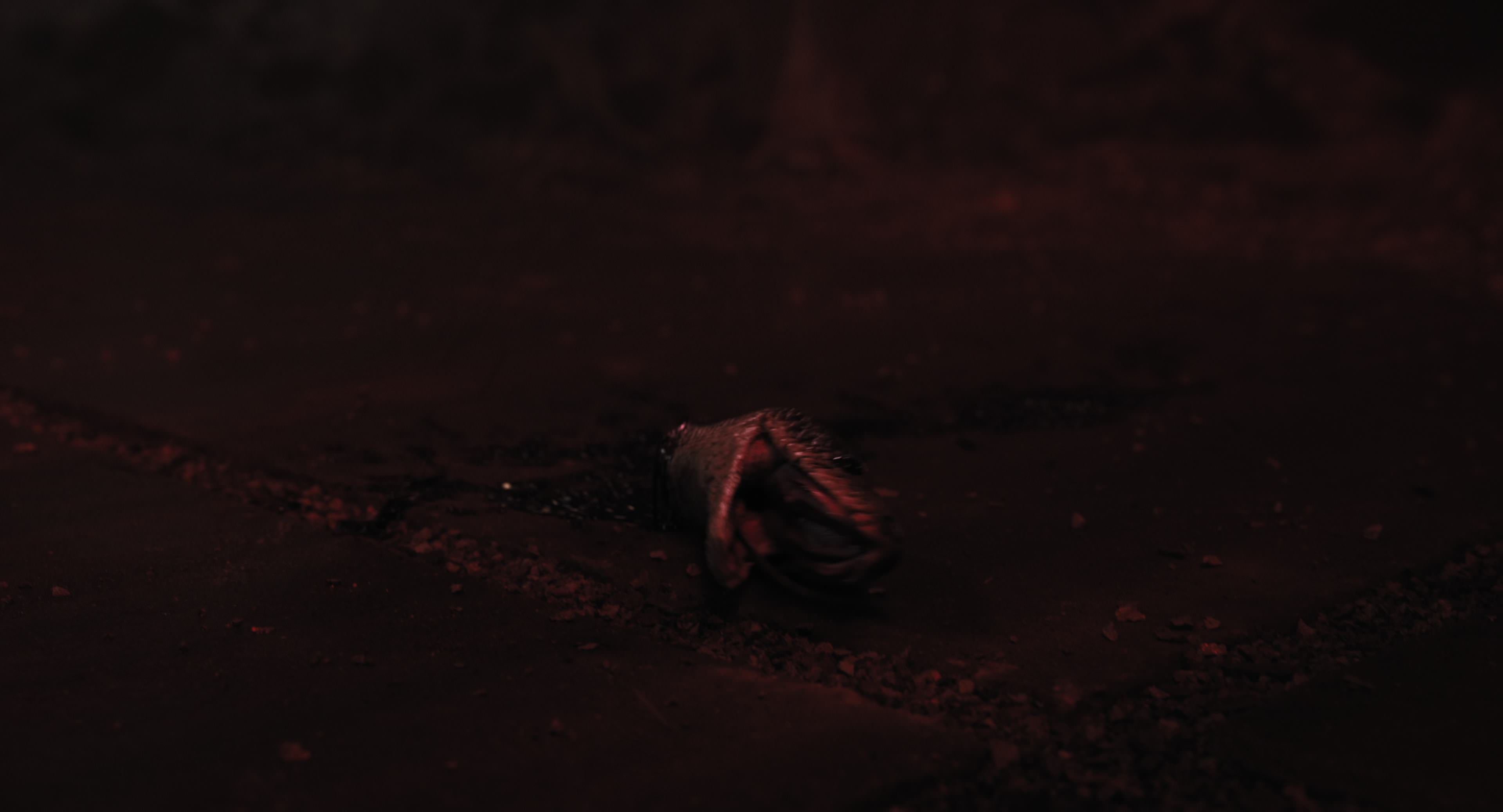 The Gorge (2025) [4K] HD screenshot 11816