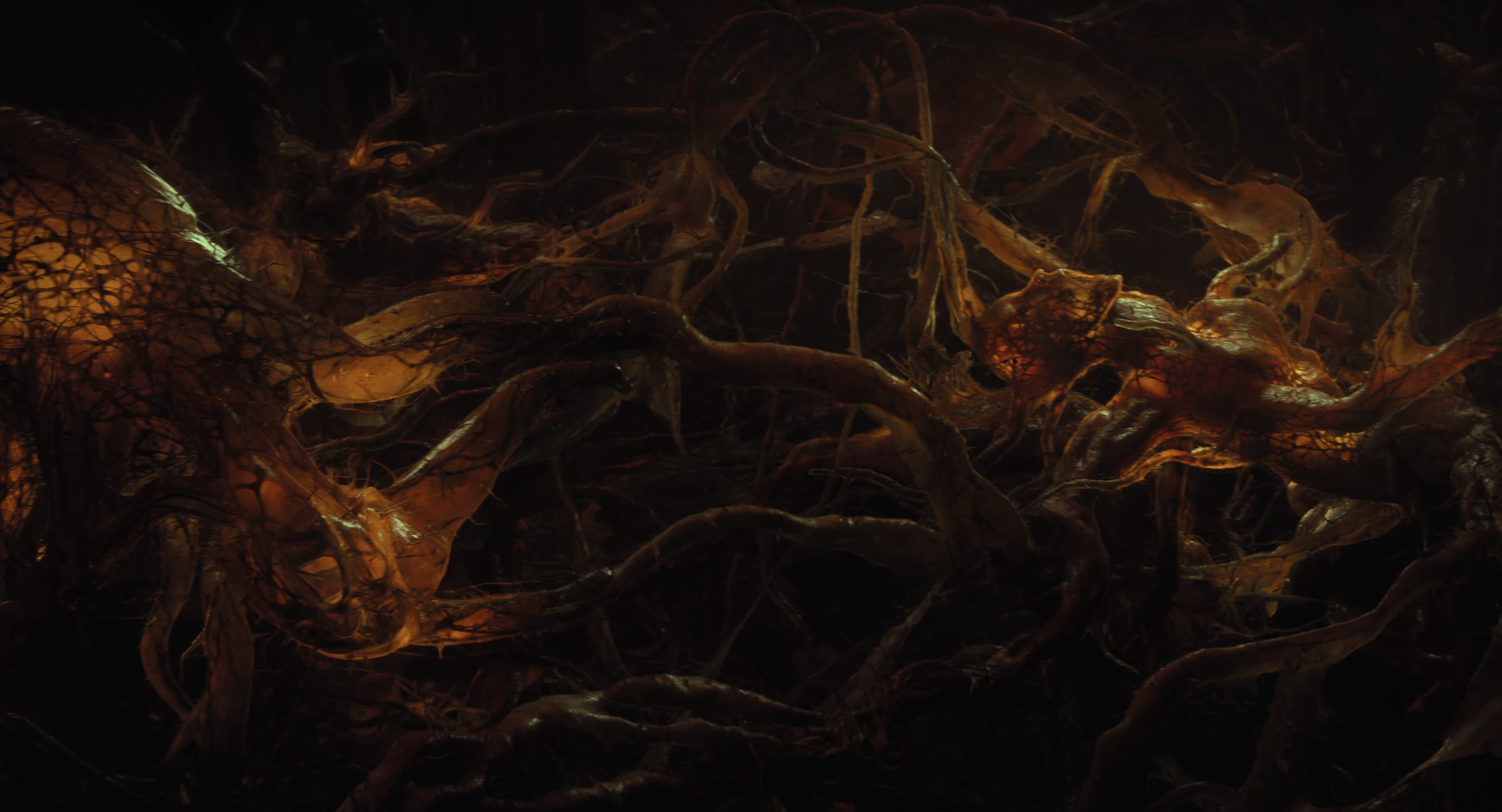 The Gorge (2025) [4K] screencap 12105
