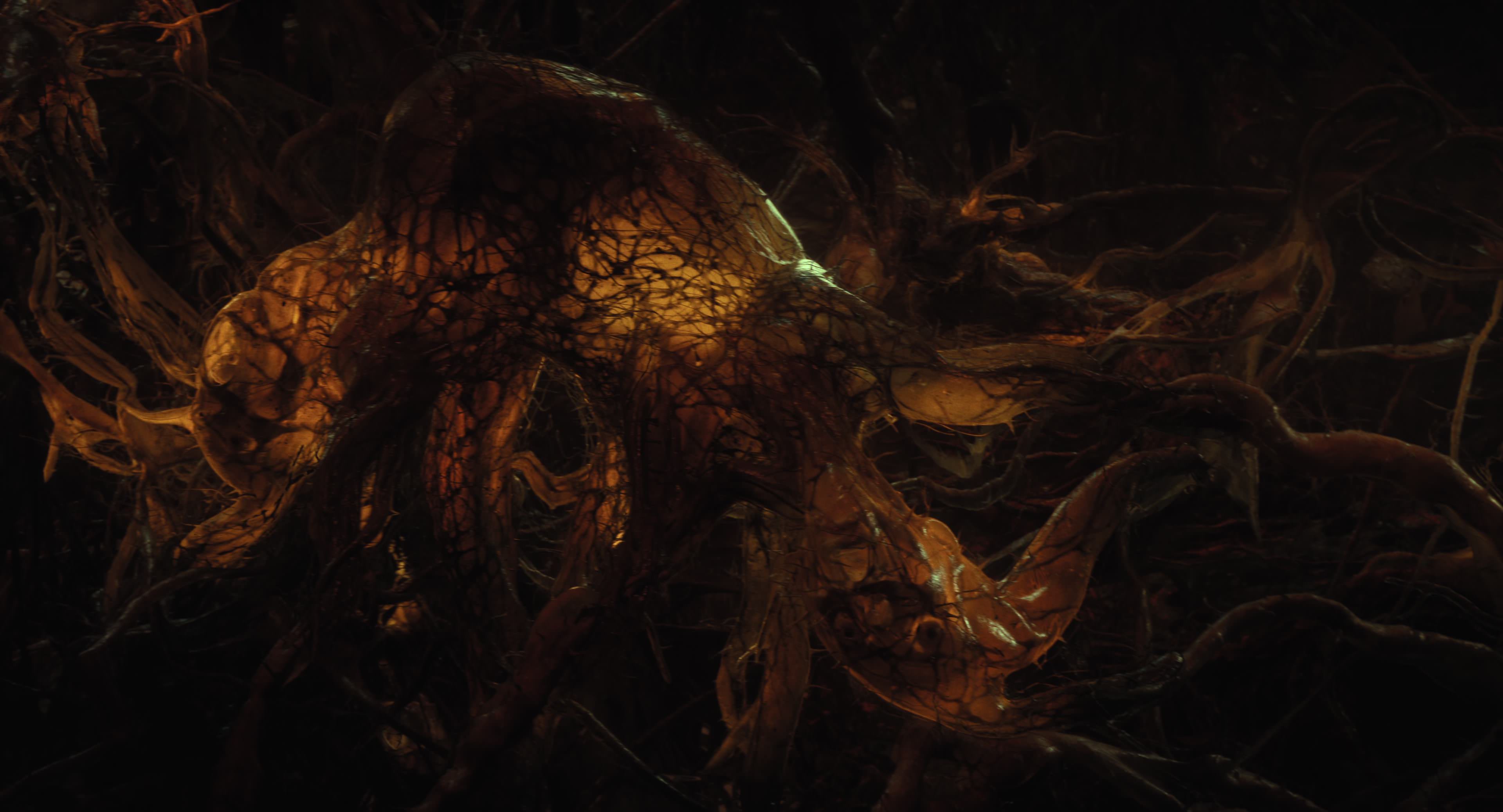 The Gorge (2025) [4K] screencap 12108