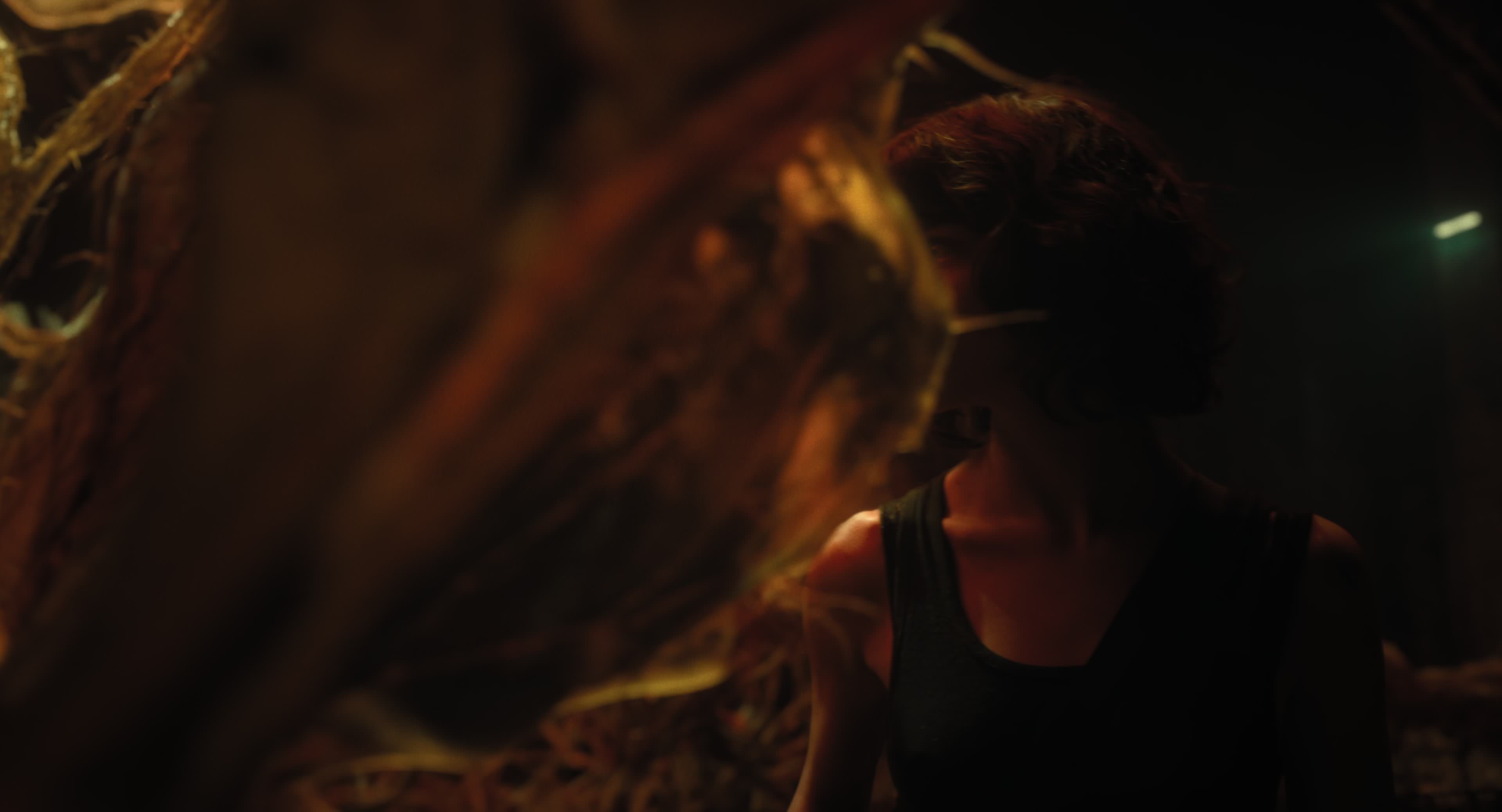 The Gorge (2025) [4K] screencap 12156