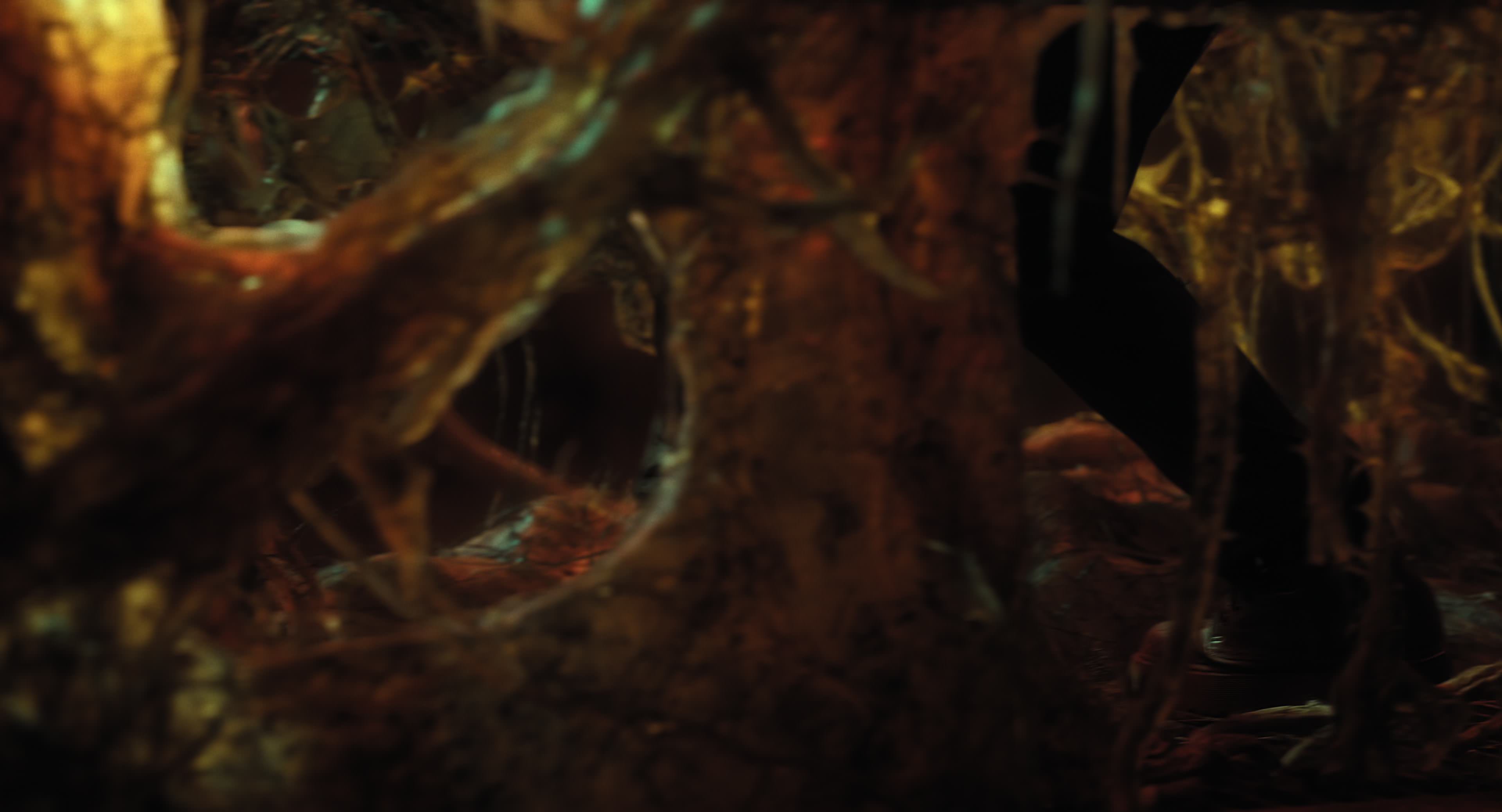 The Gorge (2025) [4K] HD screenshot 12167