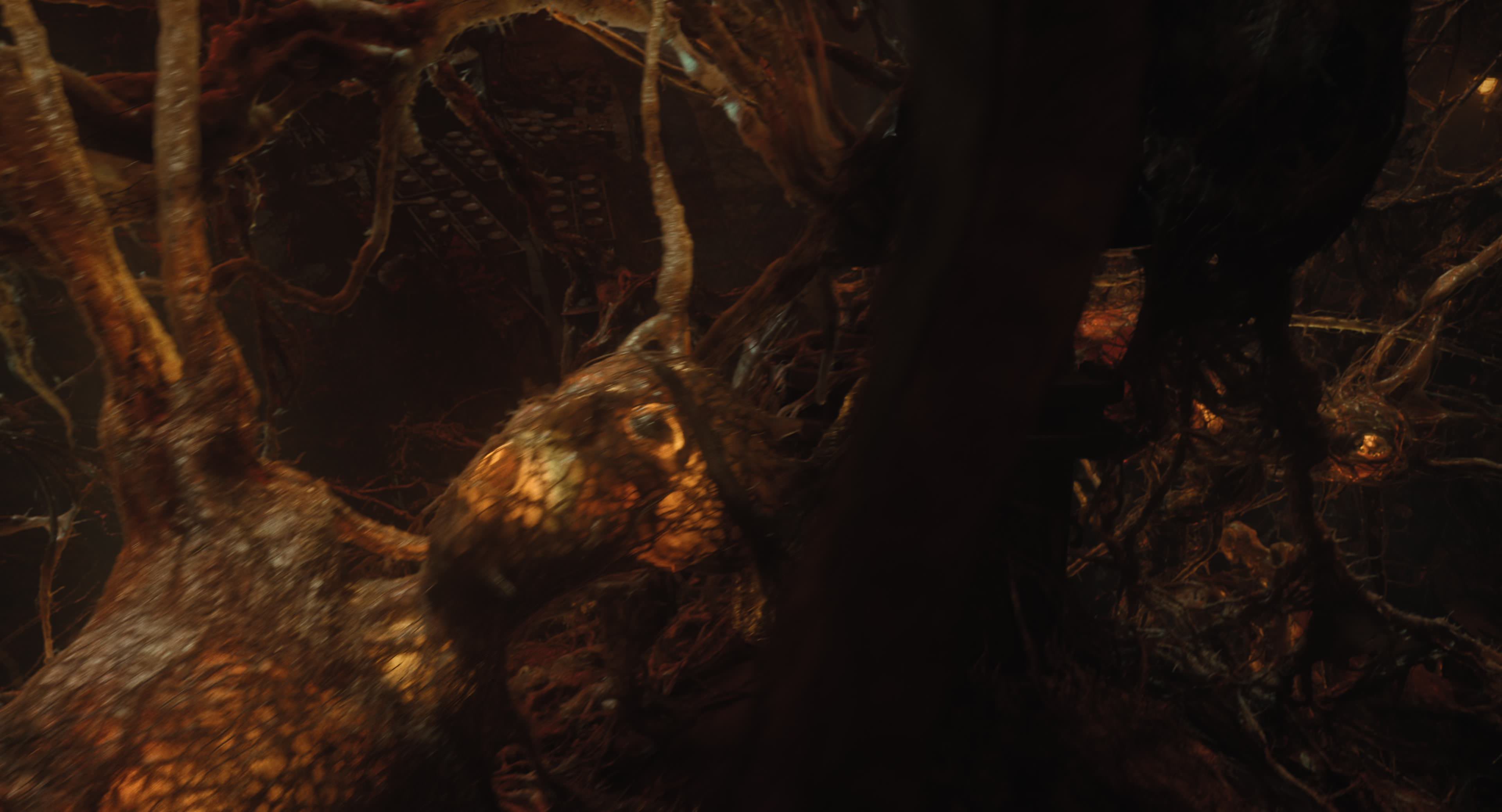 The Gorge (2025) [4K] screencap 12183