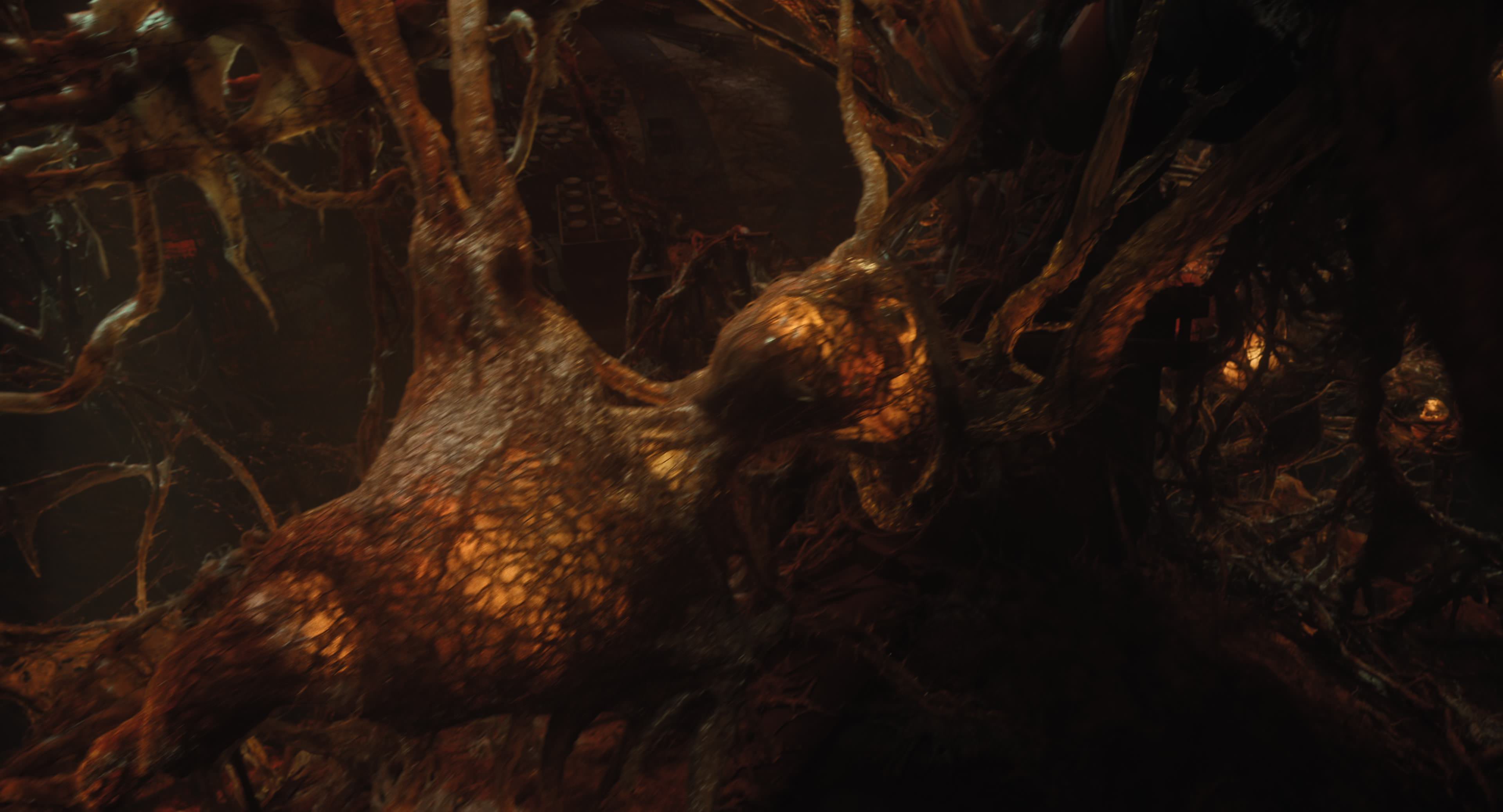 The Gorge (2025) [4K] HD screenshot 12185