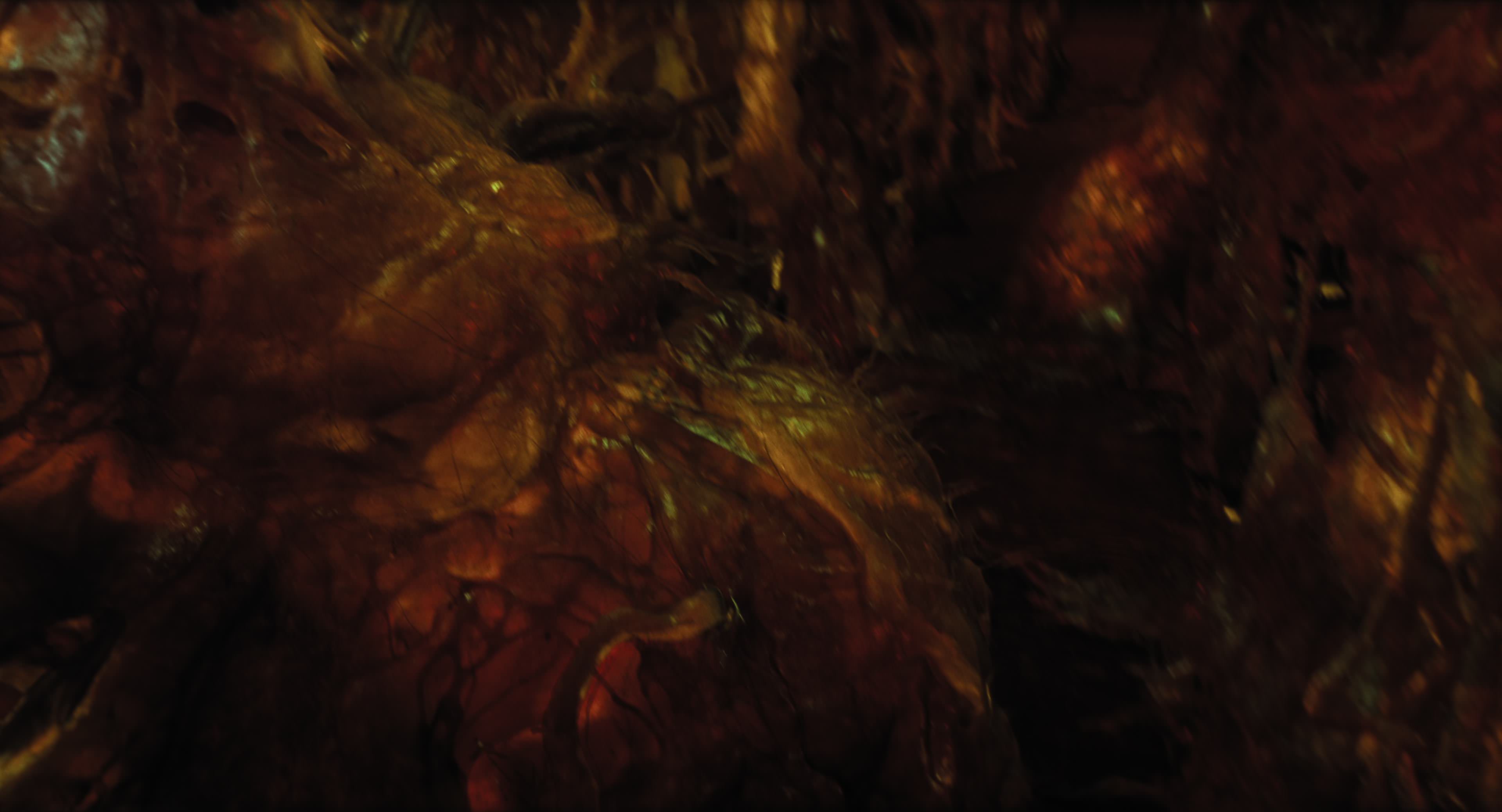 The Gorge (2025) [4K] HD screenshot 12224