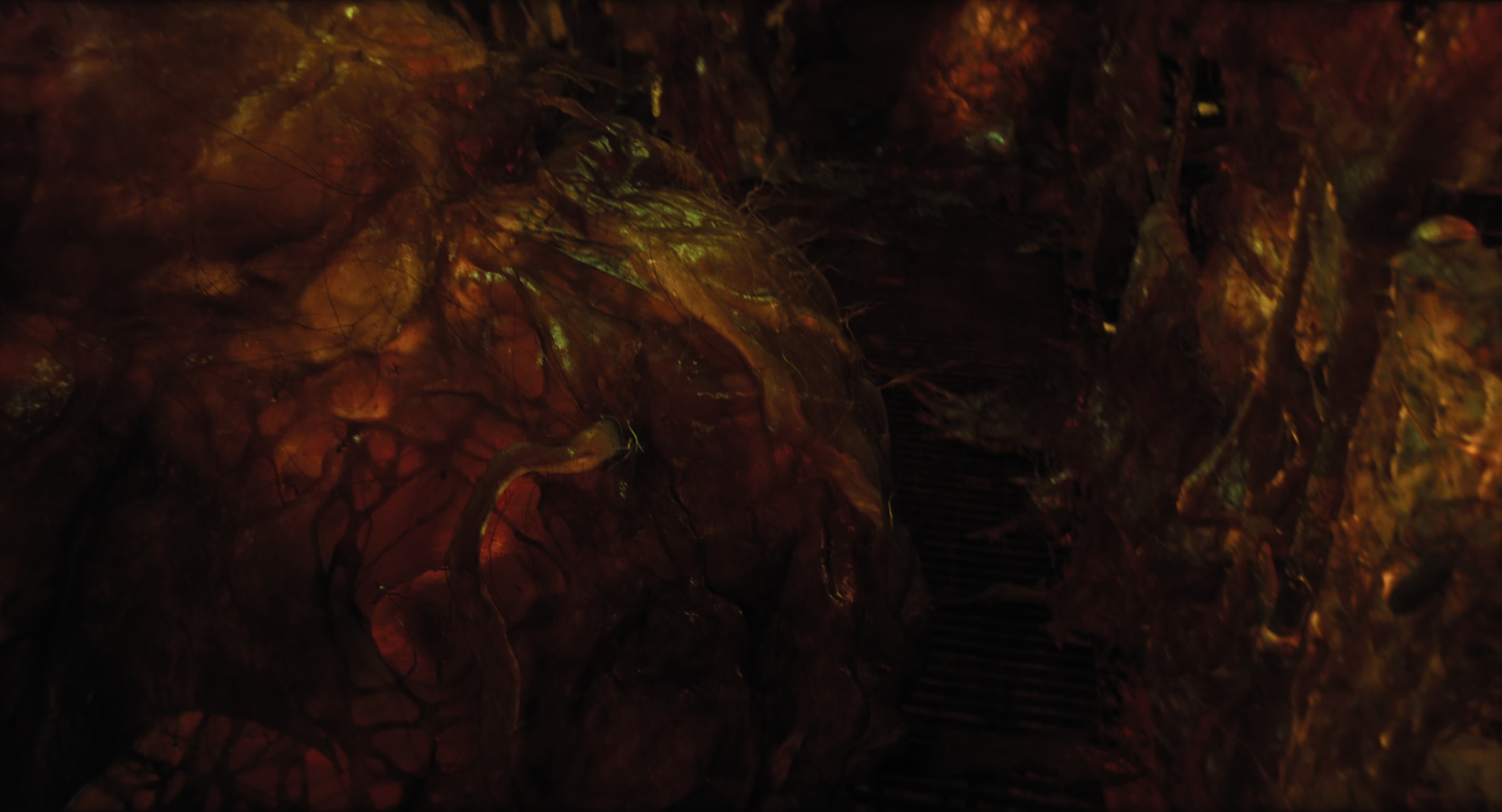 The Gorge (2025) [4K] screencap 12225