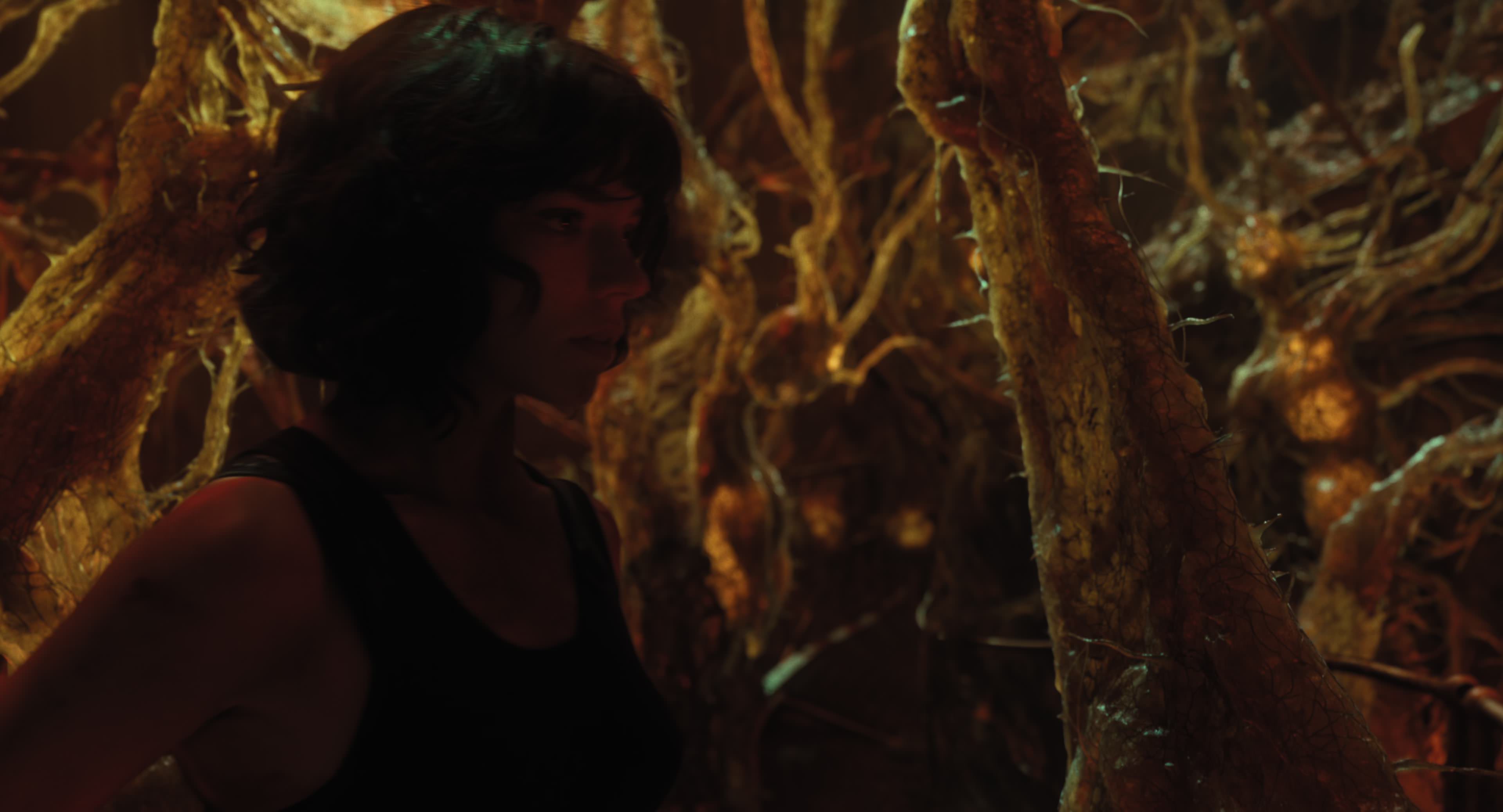 The Gorge (2025) [4K] screencap 12255
