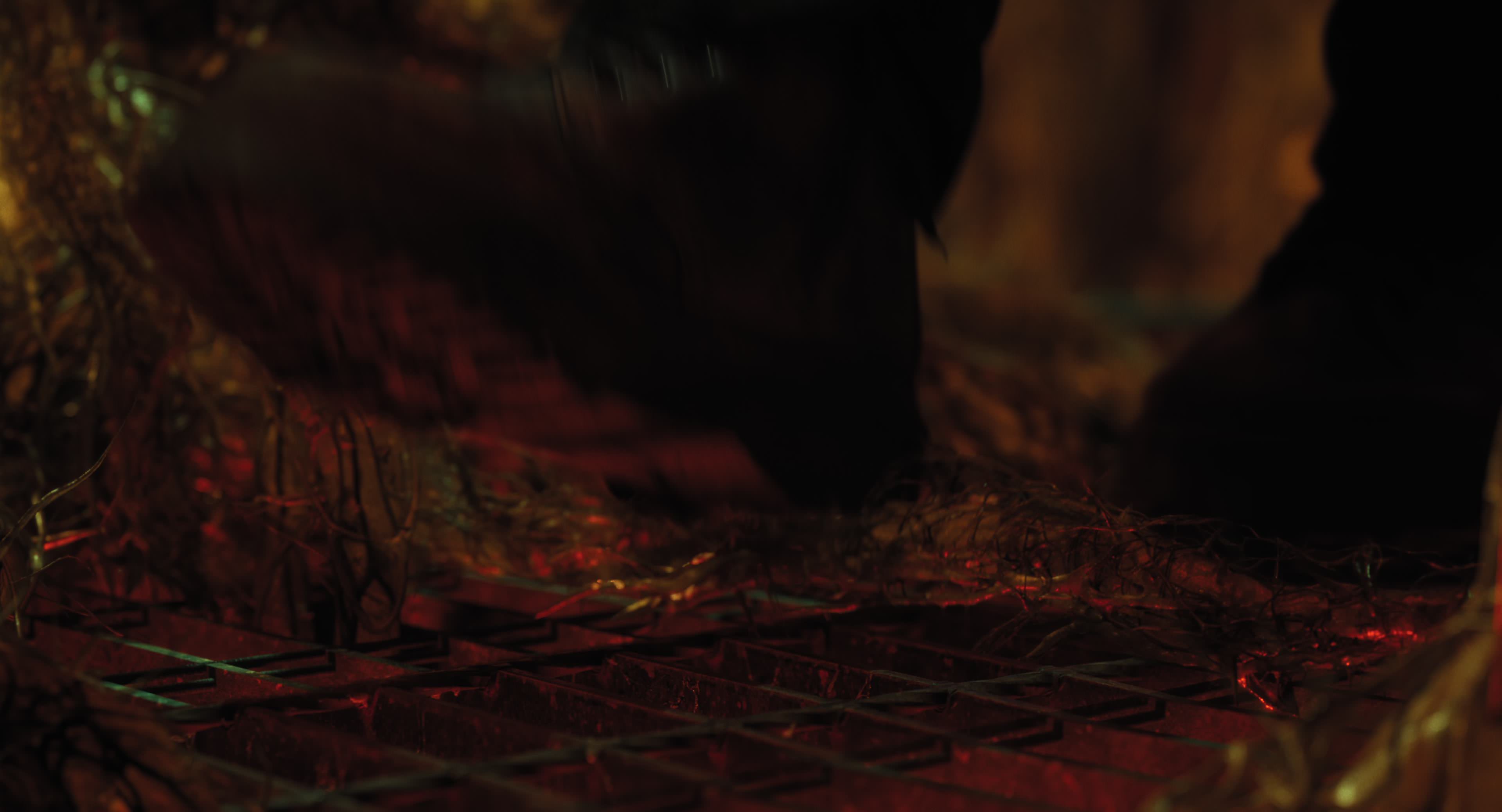 The Gorge (2025) [4K] movie still 12289