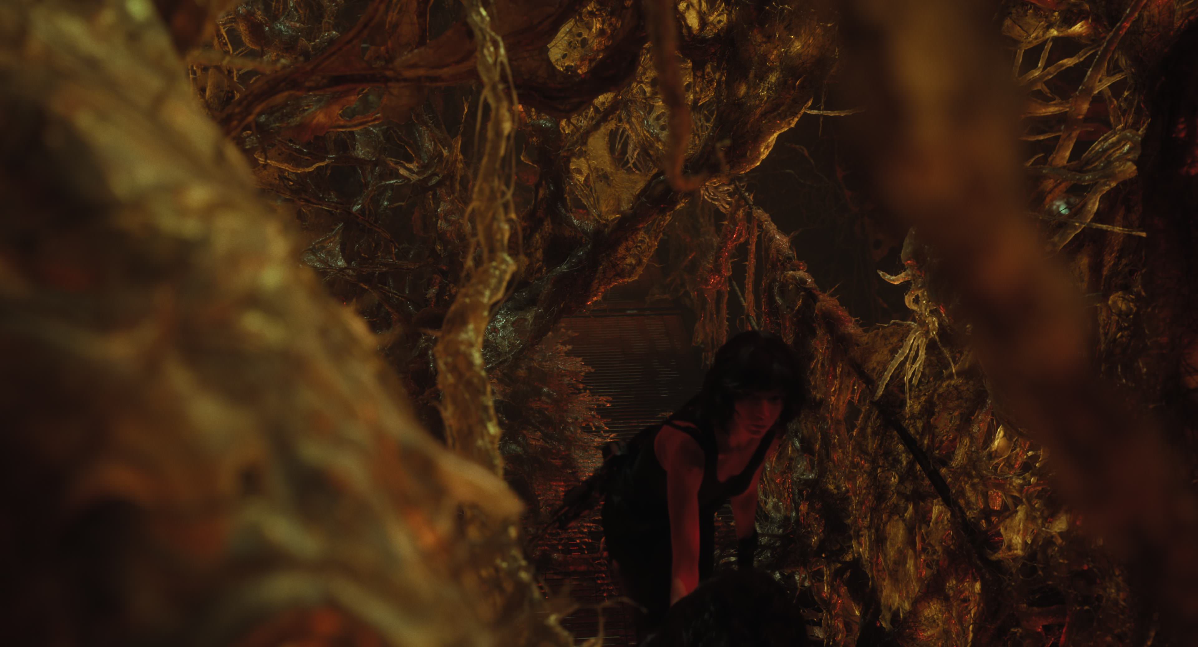 The Gorge (2025) [4K] HD screenshot 12338