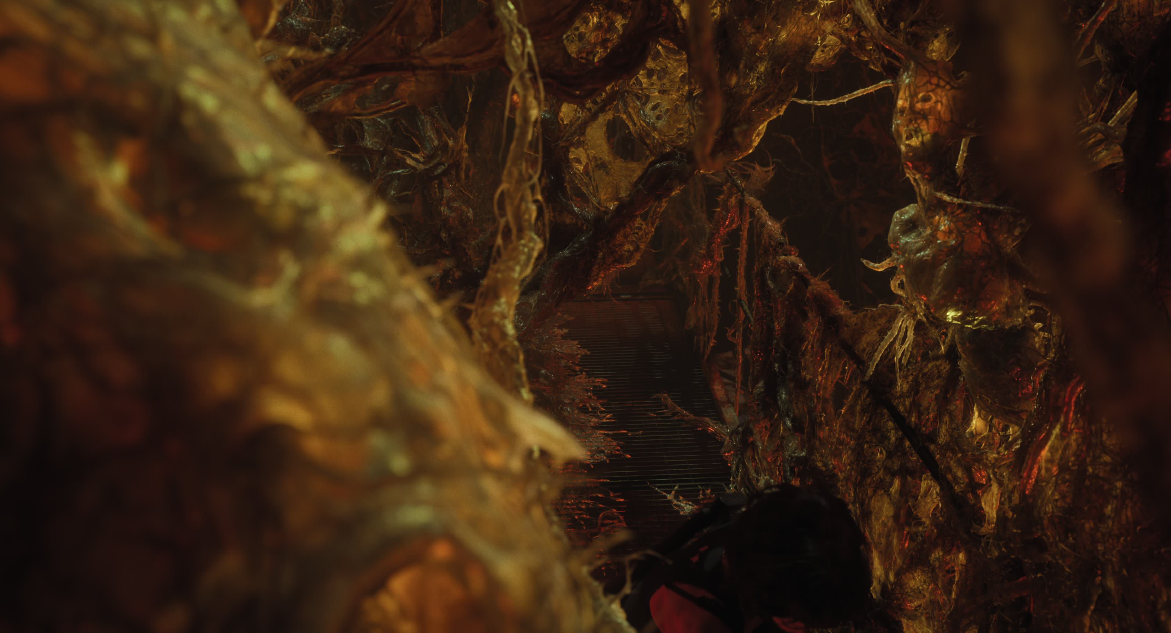 The Gorge (2025) [4K] HD screenshot 12341