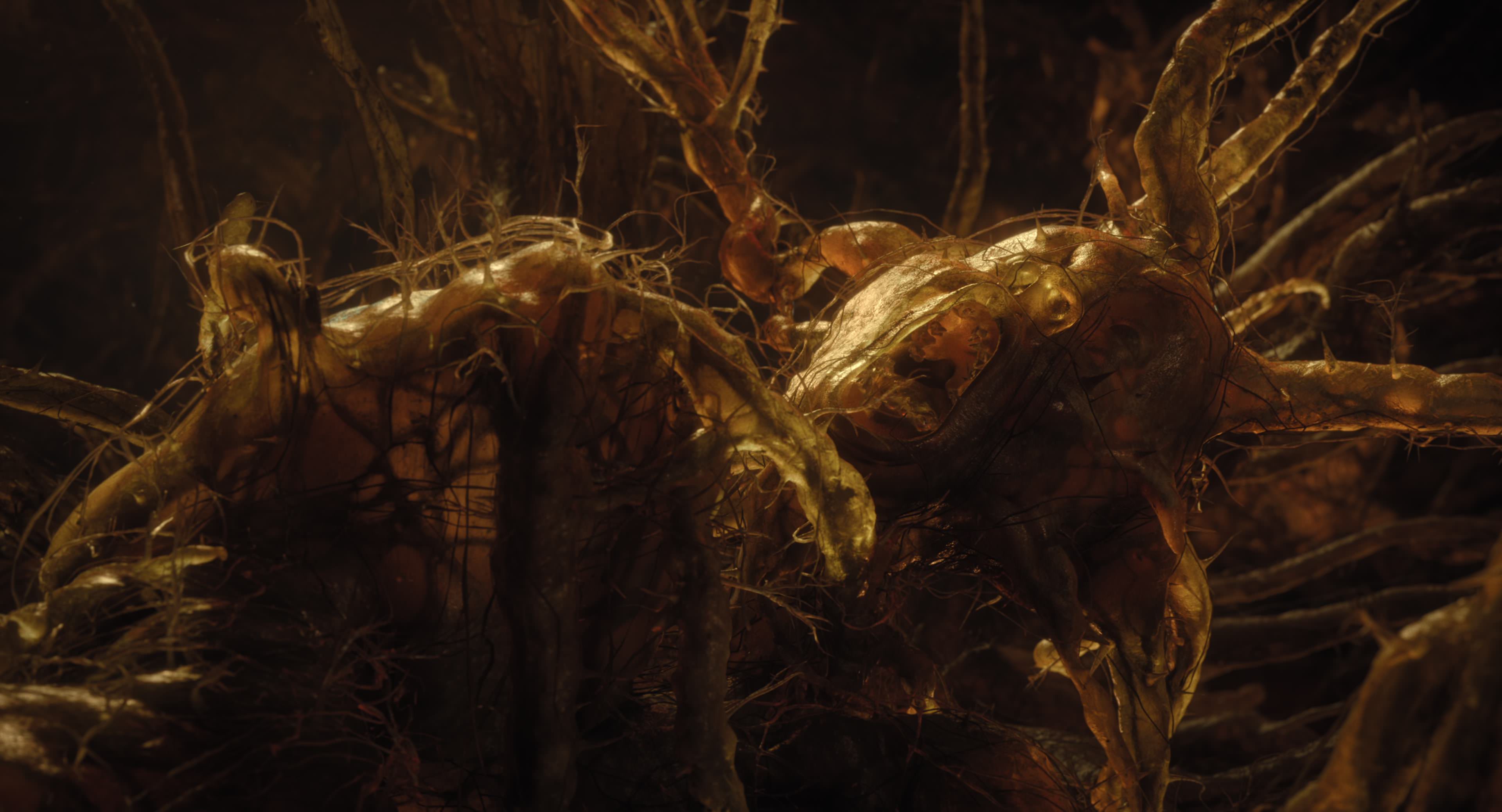 The Gorge (2025) [4K] HD screenshot 12350