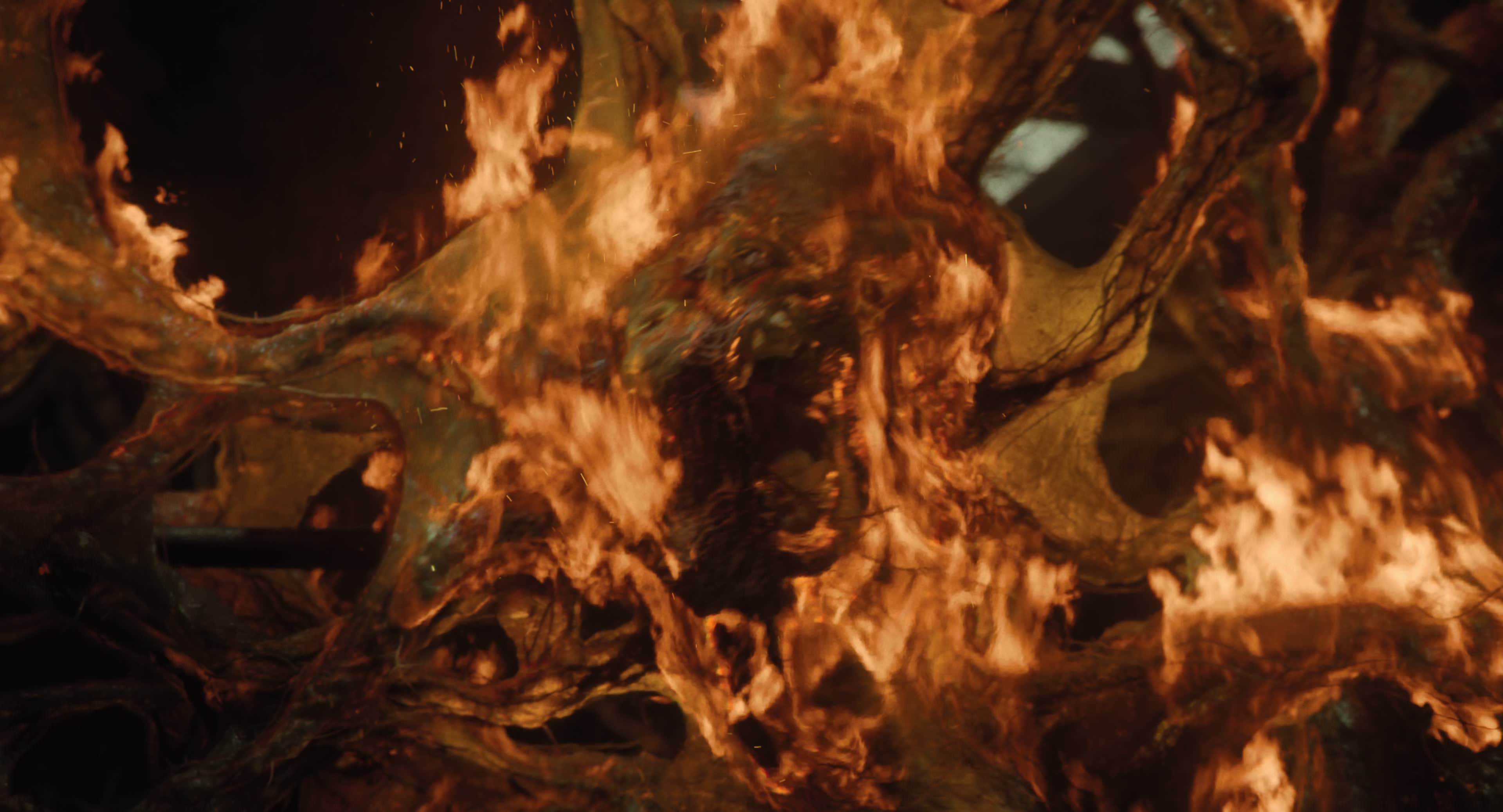 The Gorge (2025) [4K] HD screenshot 12404