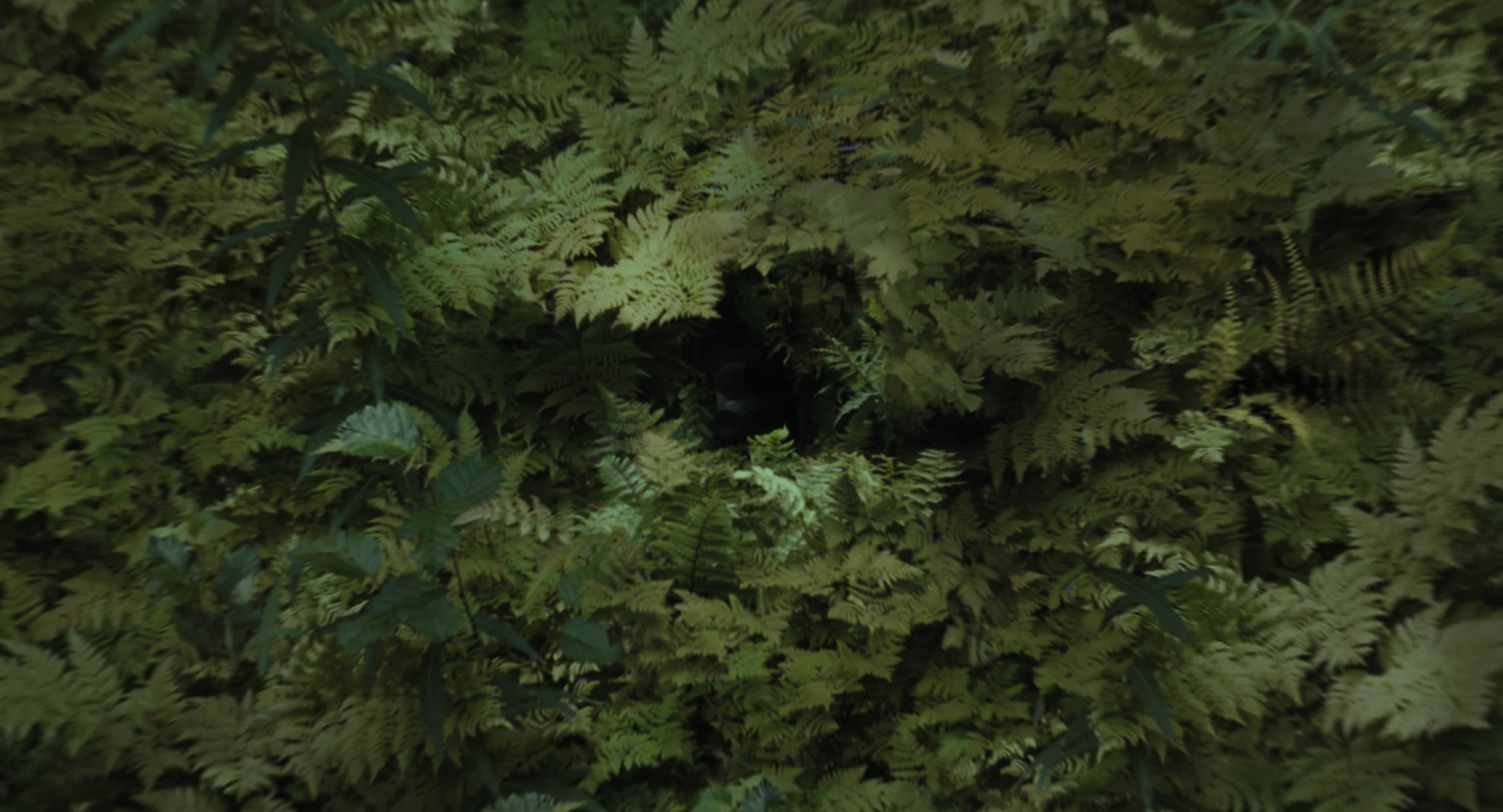 The Gorge (2025) [4K] screencap 126