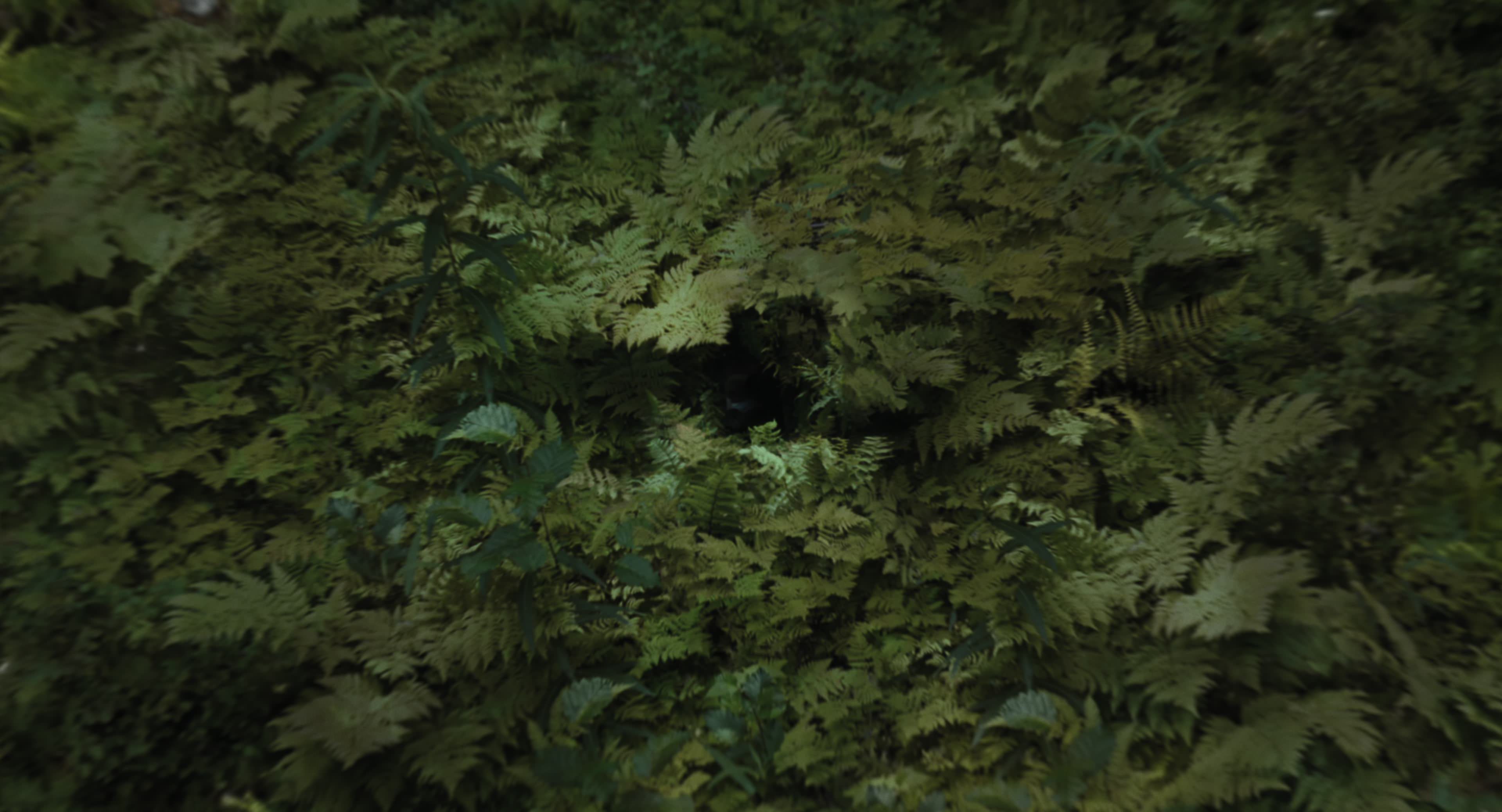 The Gorge (2025) [4K] movie still 127