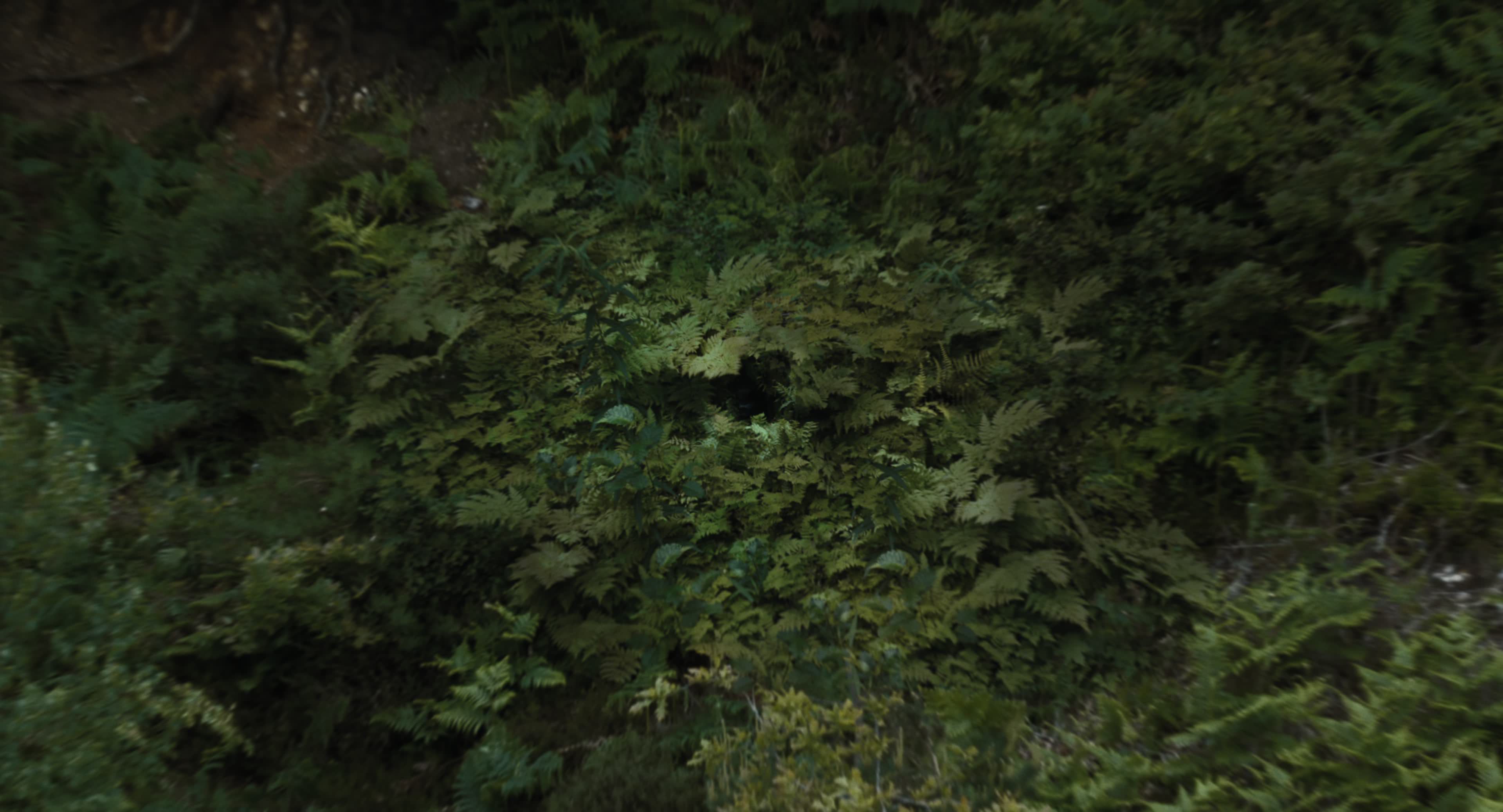 The Gorge (2025) [4K] screencap 129
