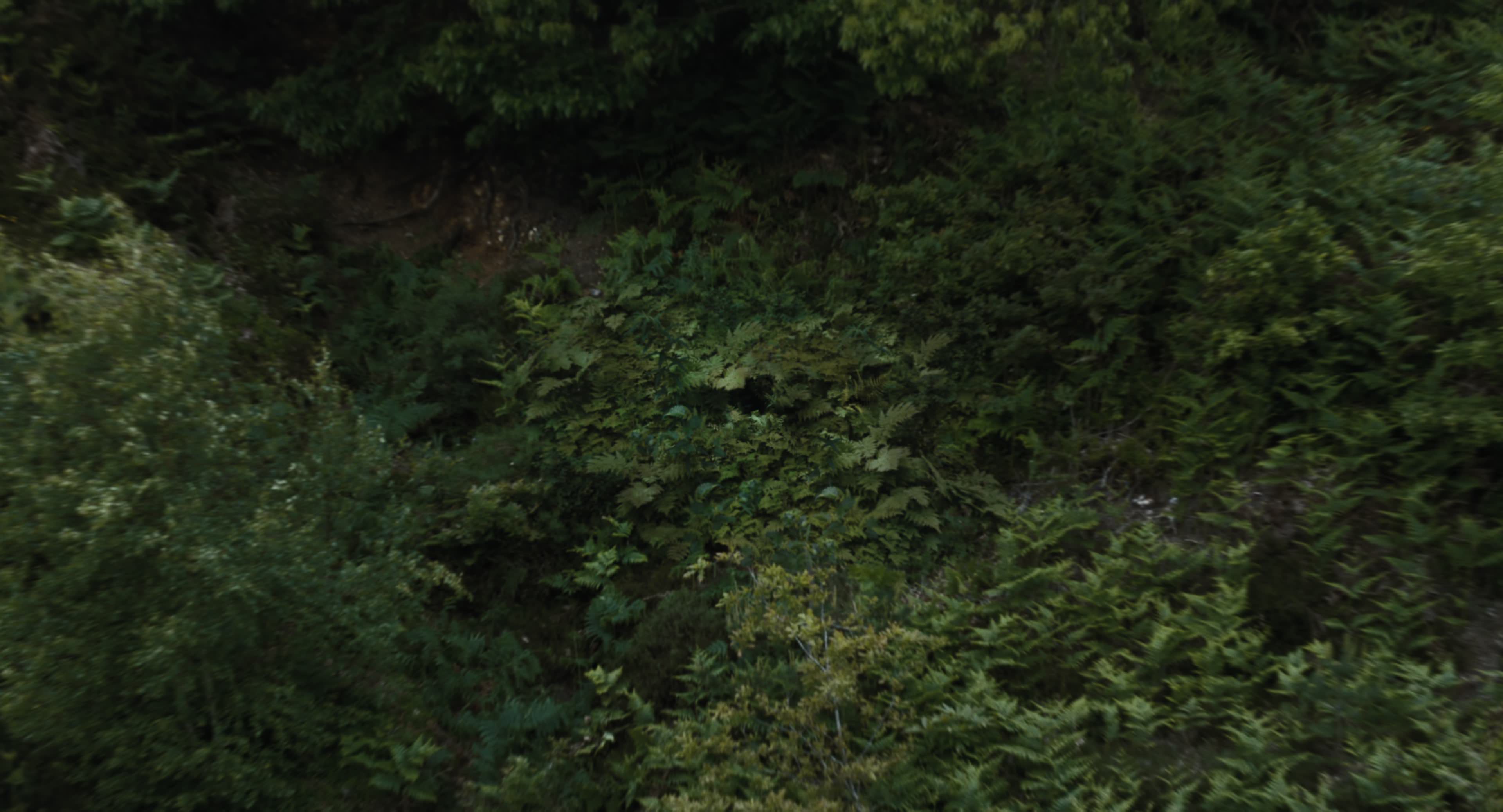 The Gorge (2025) [4K] HD screenshot 131