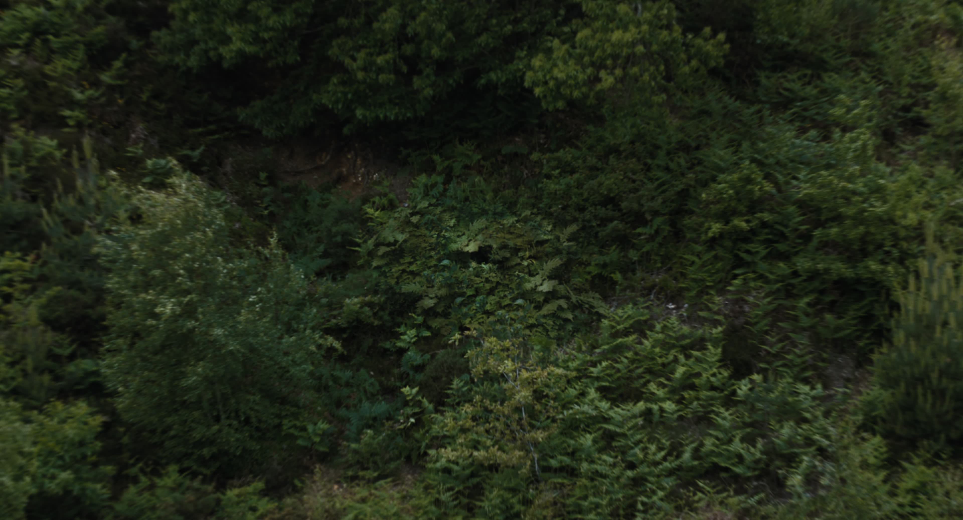 The Gorge (2025) [4K] screencap 132